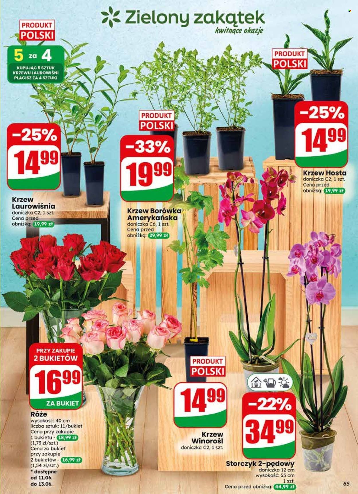 Gazetka DINO - Od środy 10.06.2026