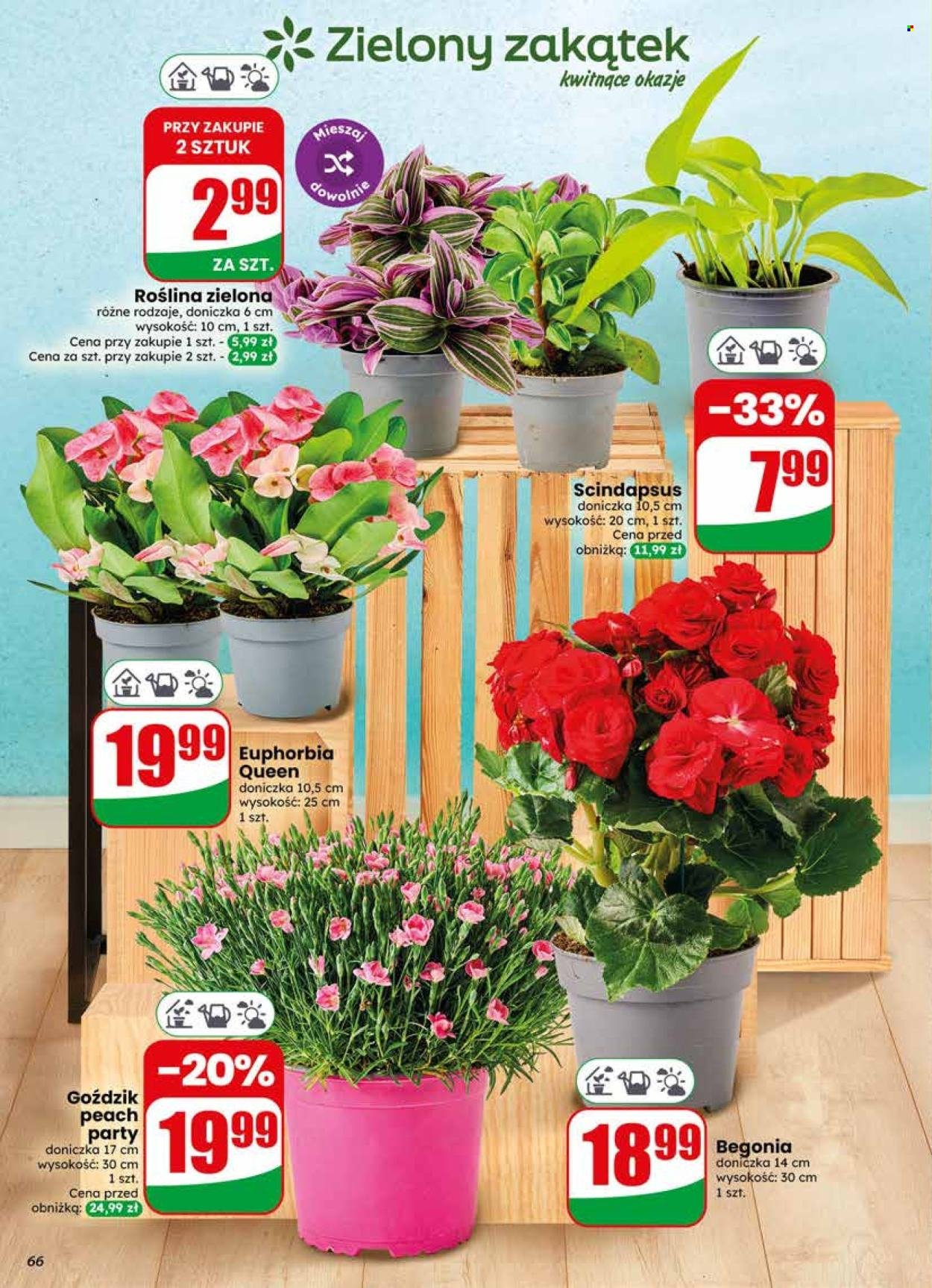Gazetka DINO - Od środy 10.06.2026