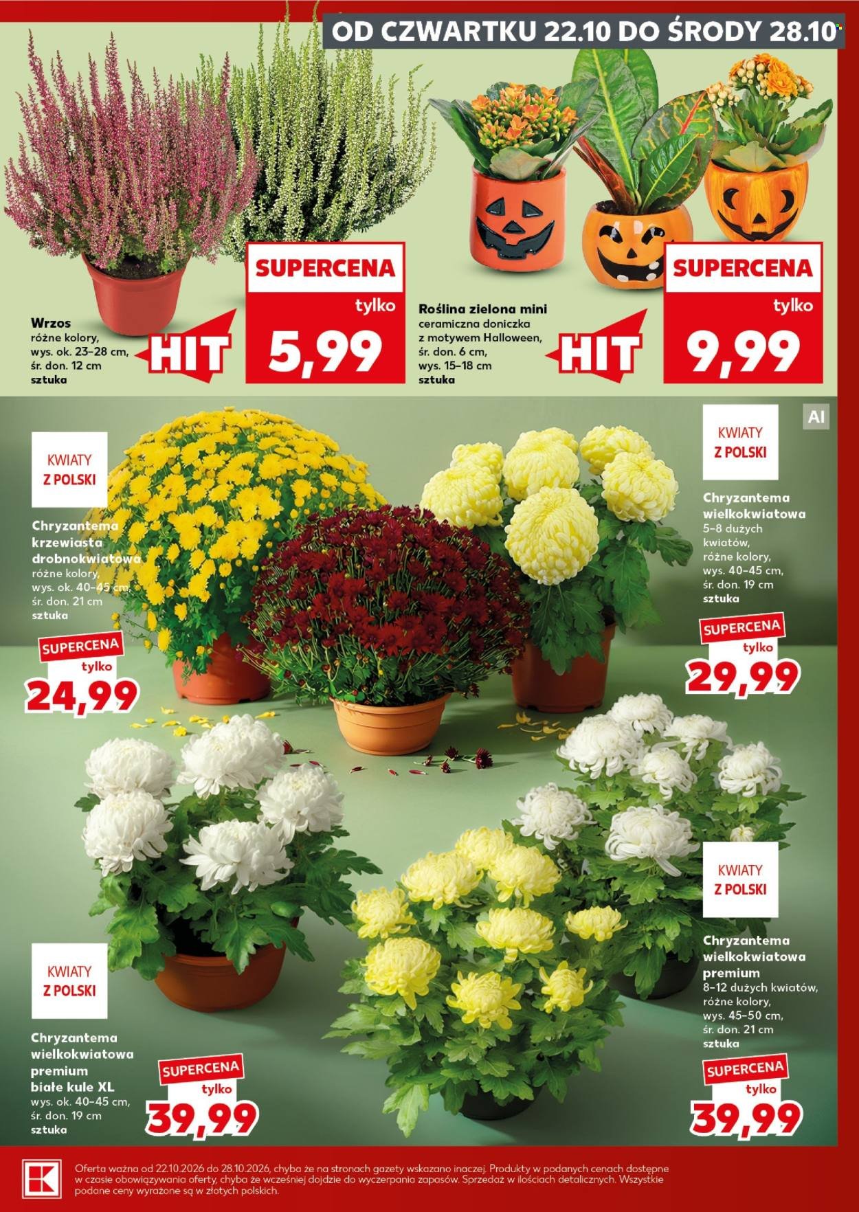 Gazetka KAUFLAND - Mocny Start