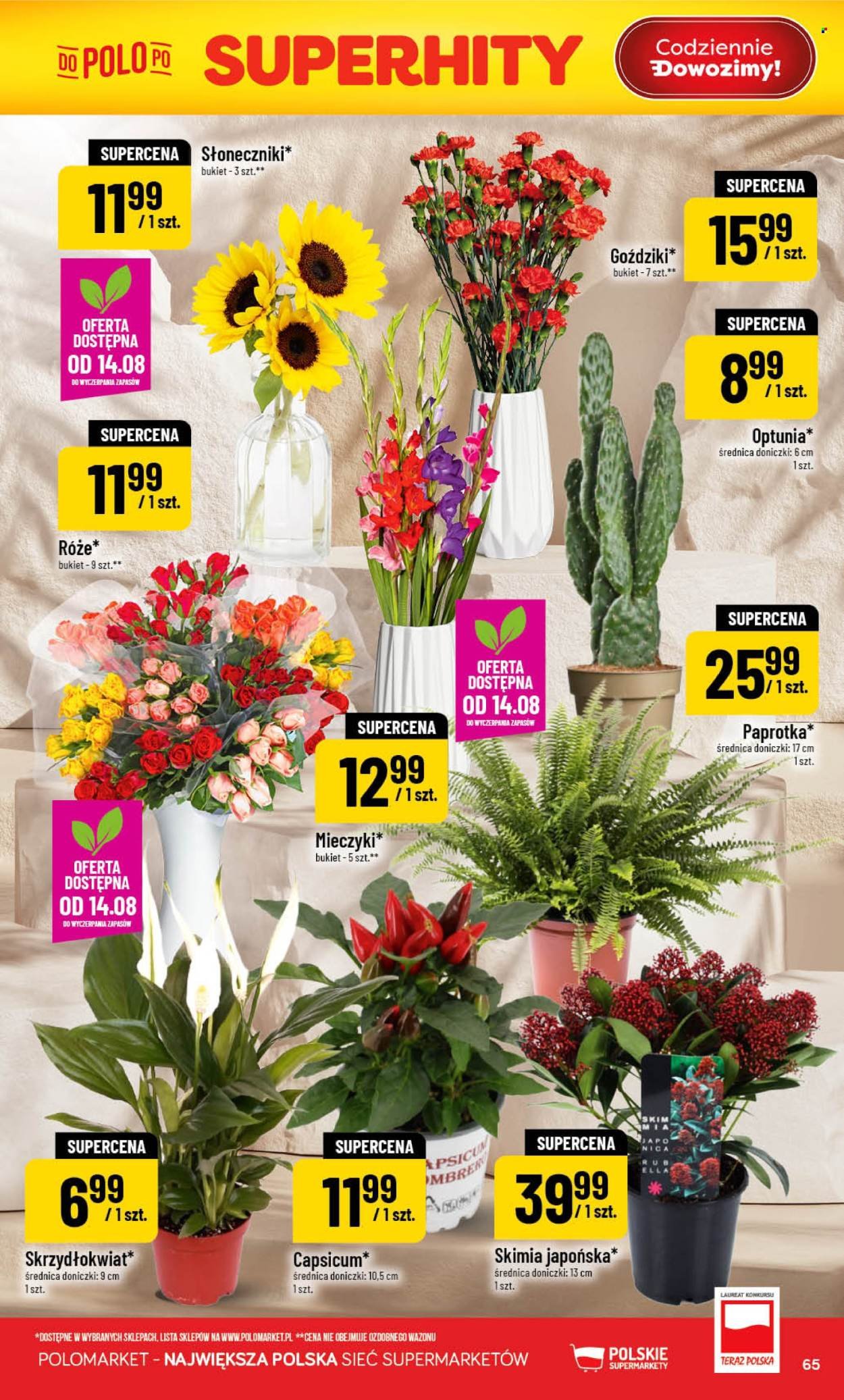 Gazetka POLOMARKET - Od środy 12.08.2026