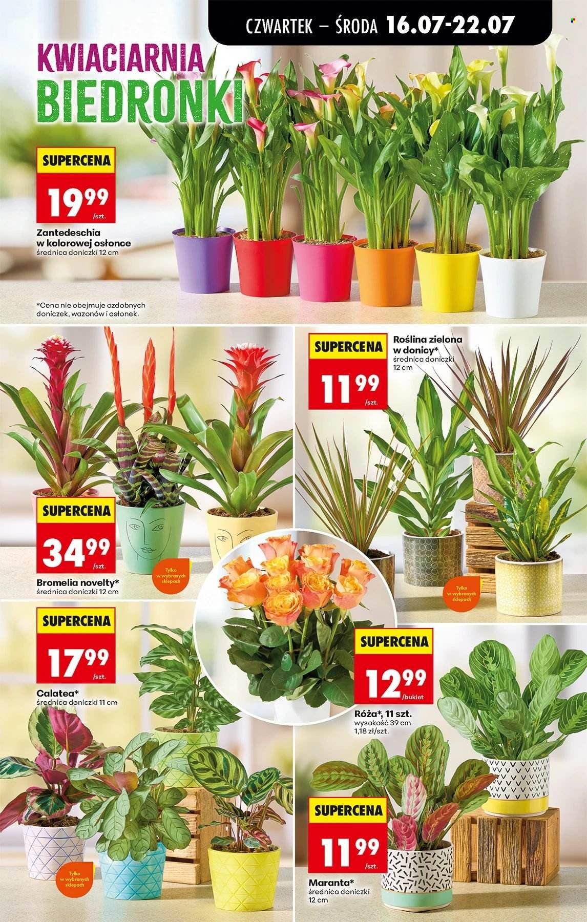 Gazetka BIEDRONKA - W tym tygodniu od czwartku