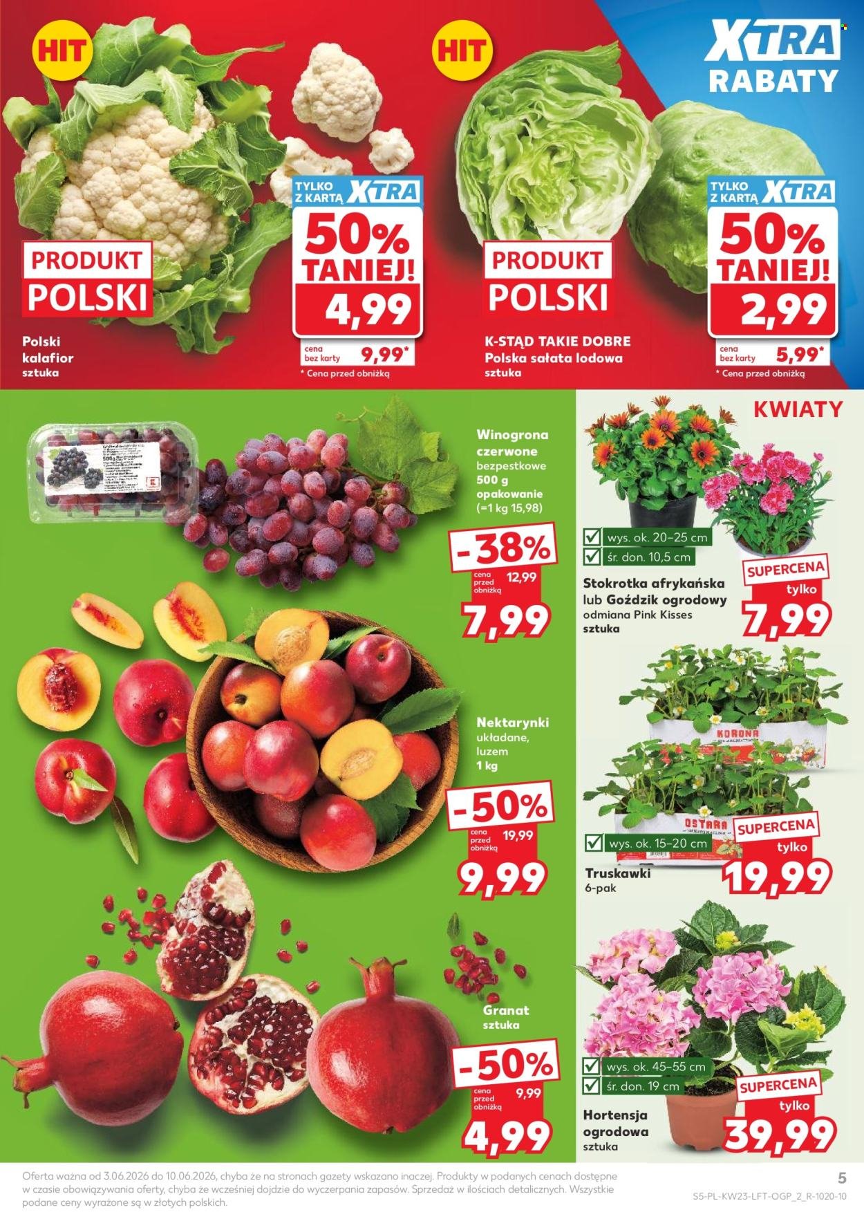 Gazetka KAUFLAND - Gazetka tygodnia