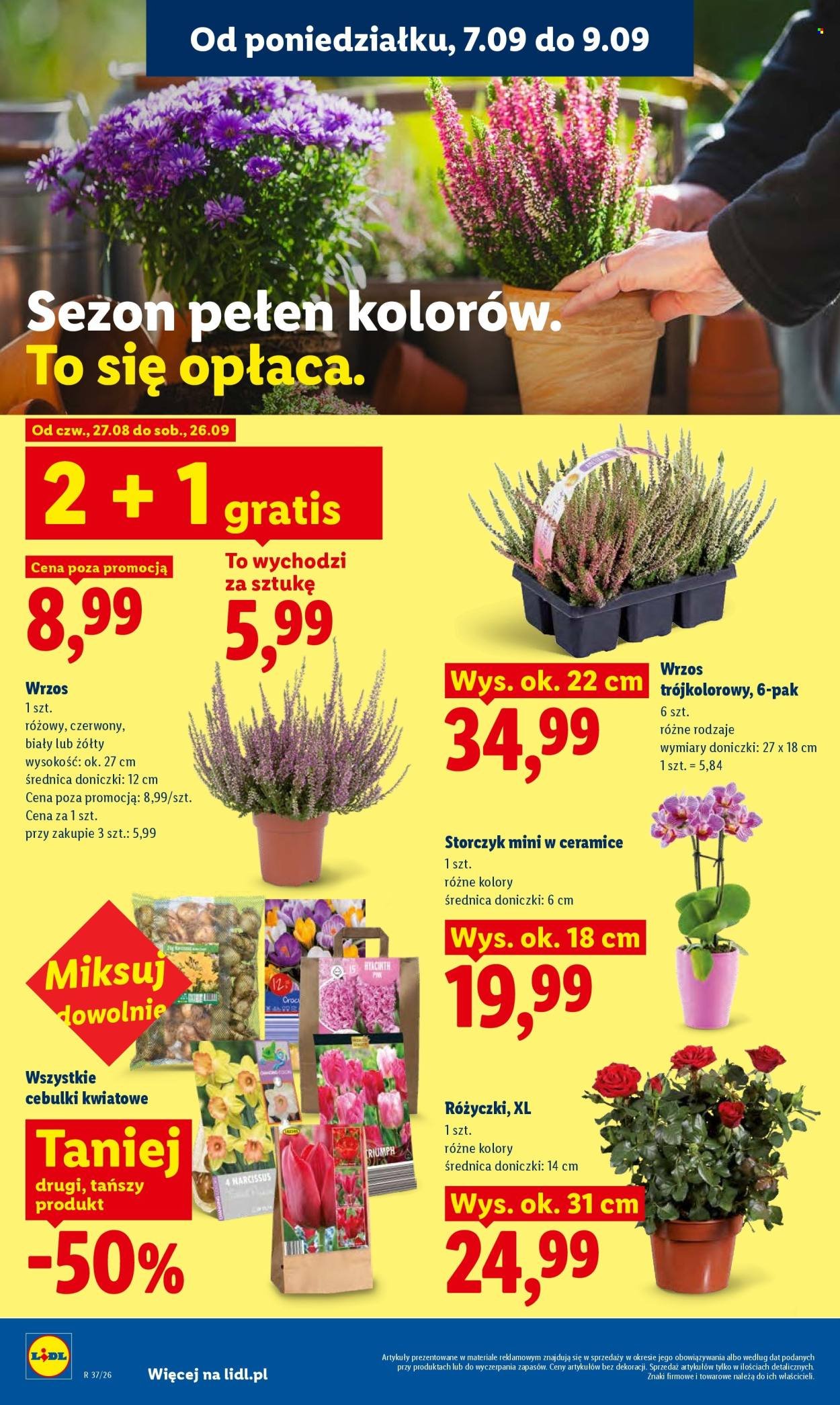 Gazetka LIDL - Od poniedziałku