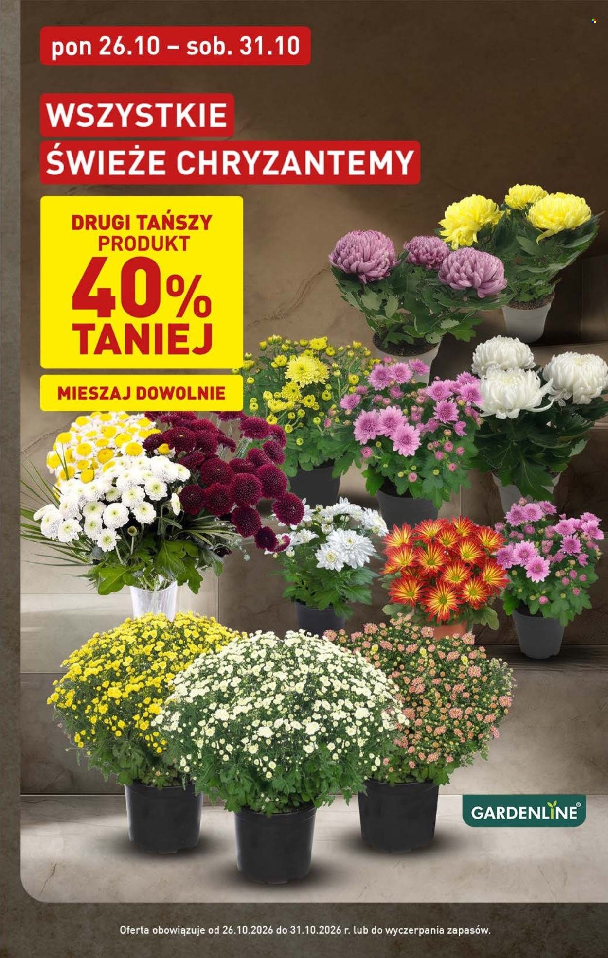 Gazetka ALDI - Pełna oferta