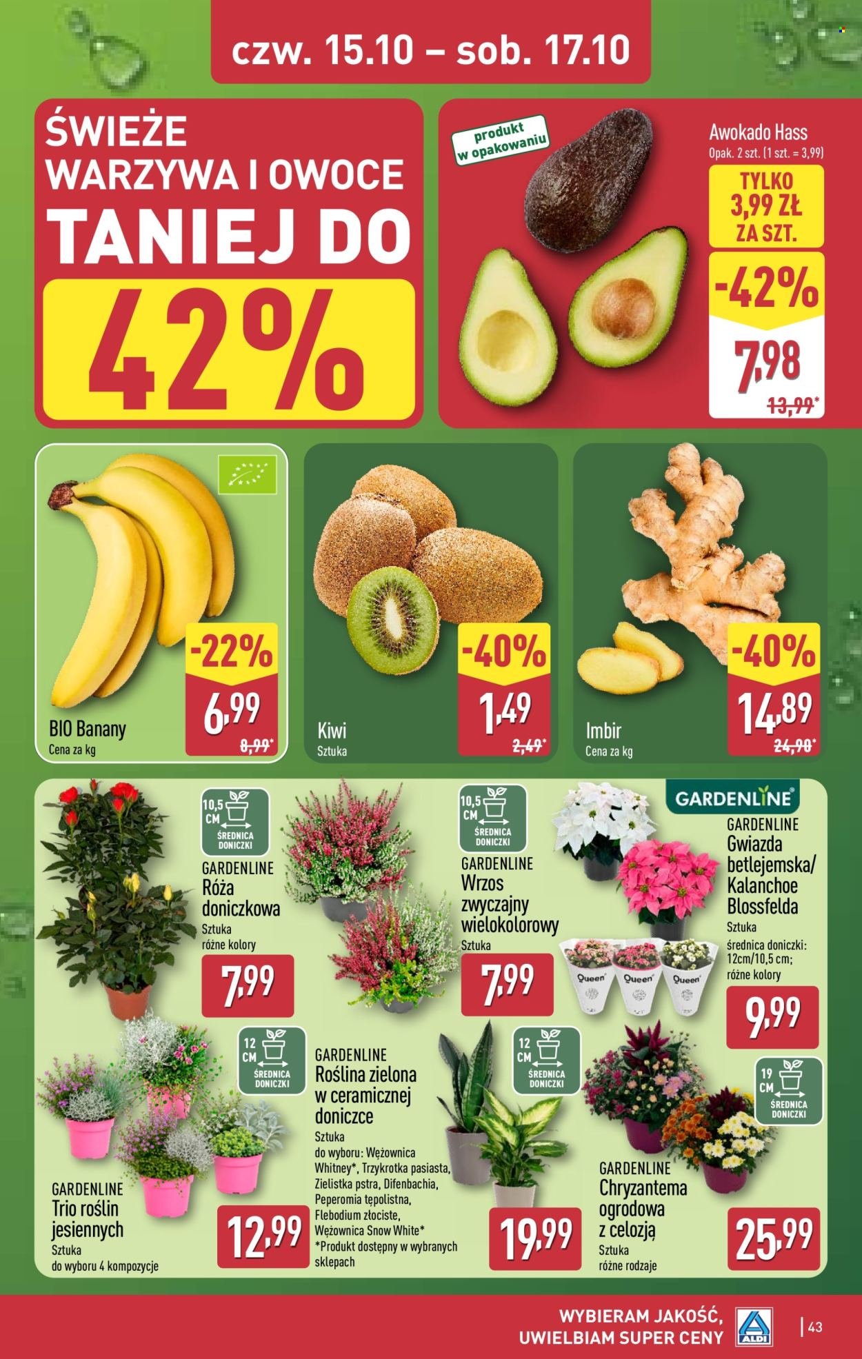 Gazetka ALDI - Pełna oferta