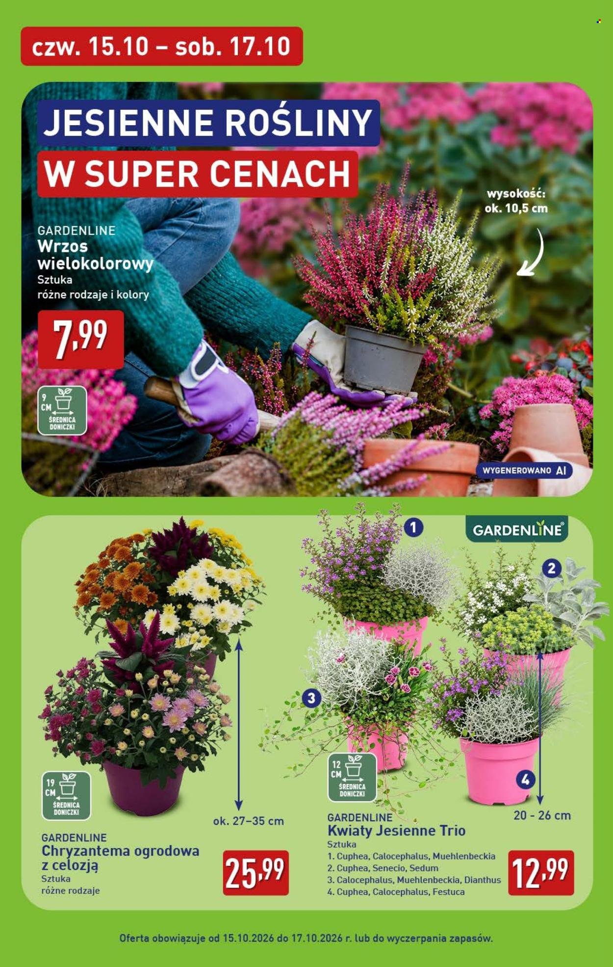 Gazetka ALDI - Pełna oferta