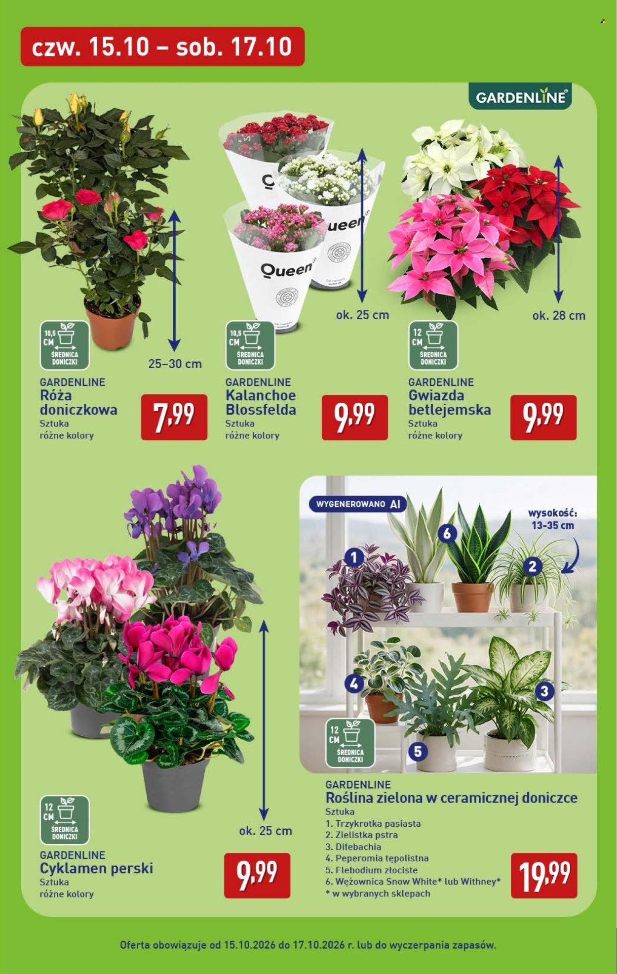 Gazetka ALDI - Pełna oferta