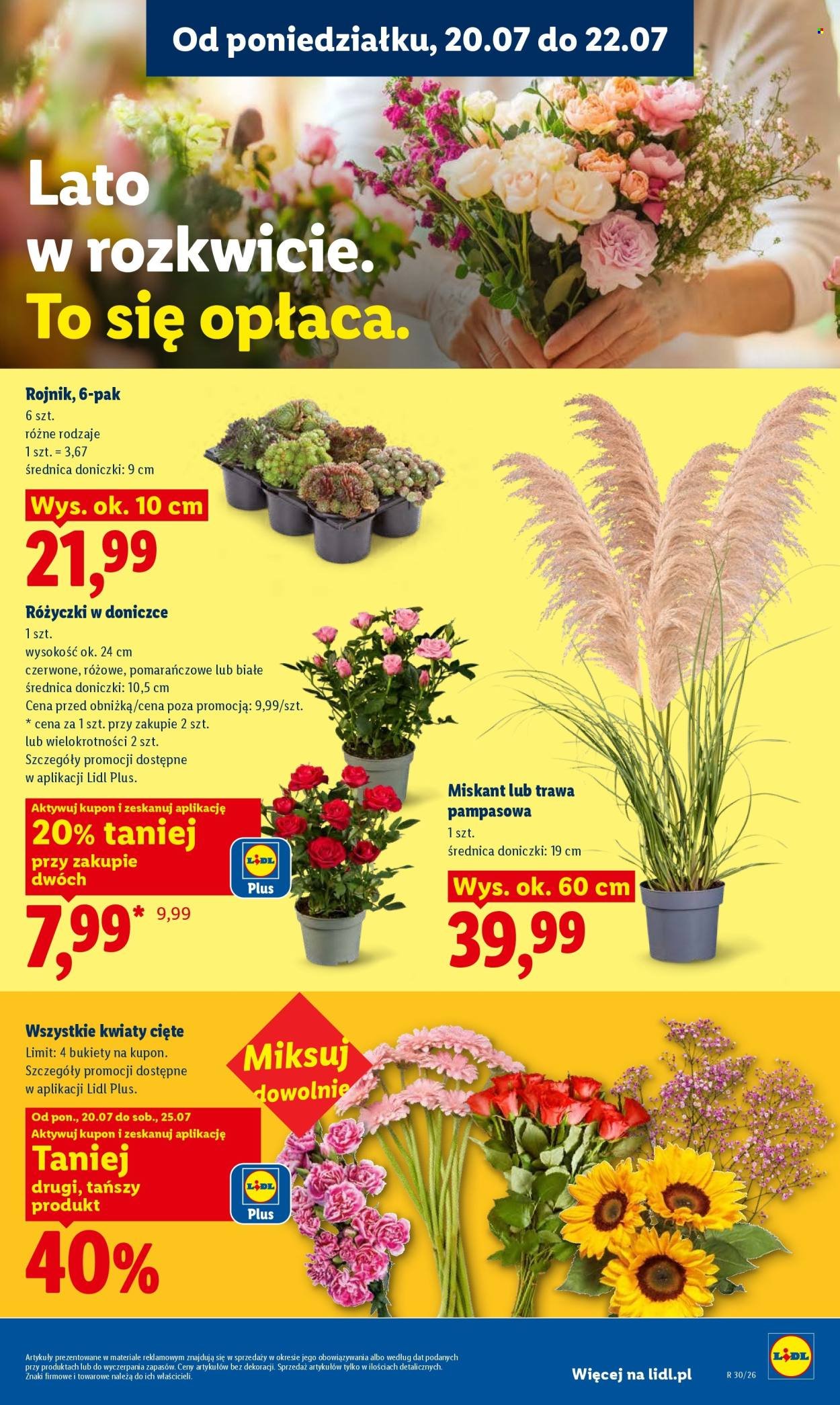 Gazetka LIDL - Od poniedziałku