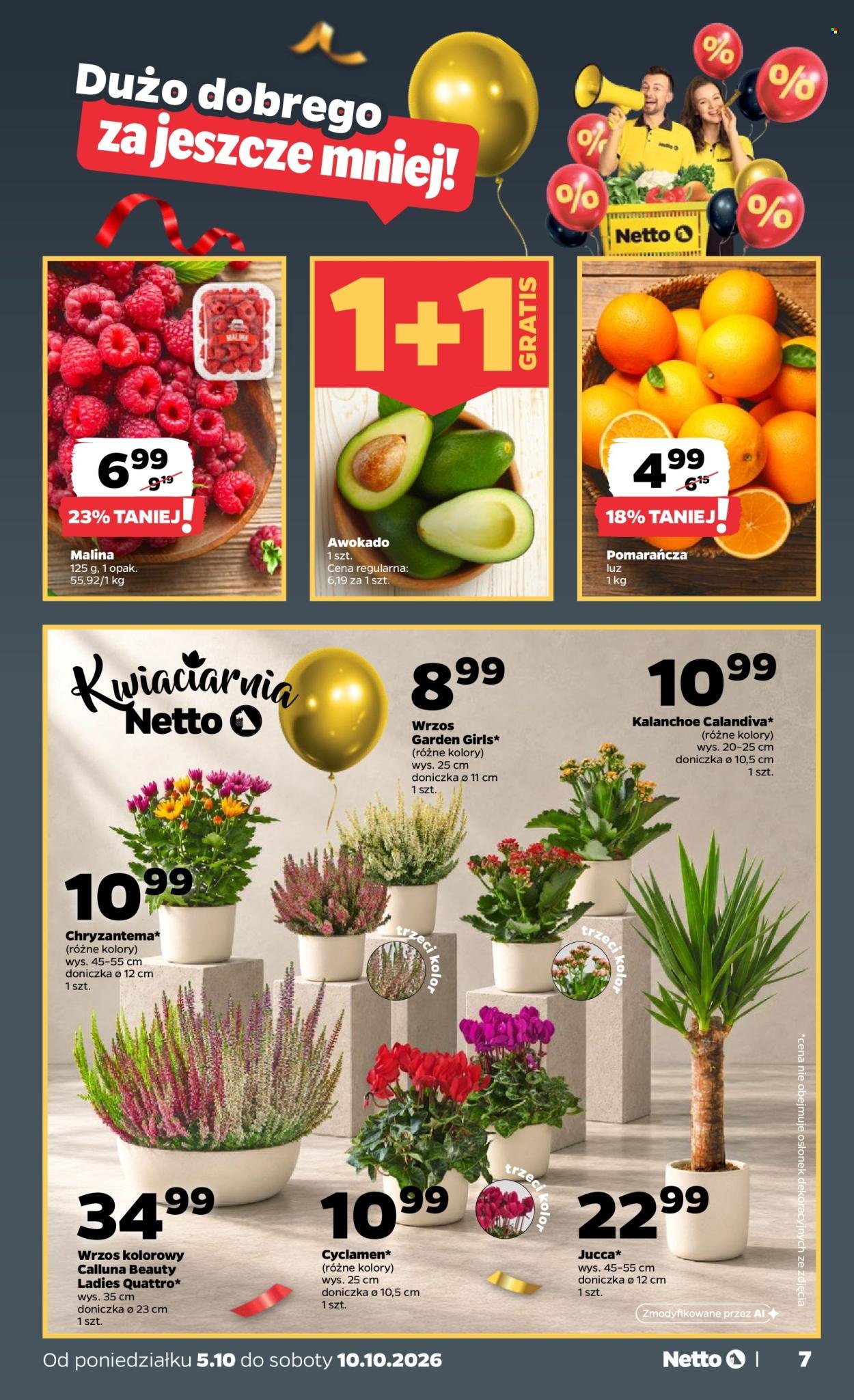 Gazetka NETTO - Od poniedziałku