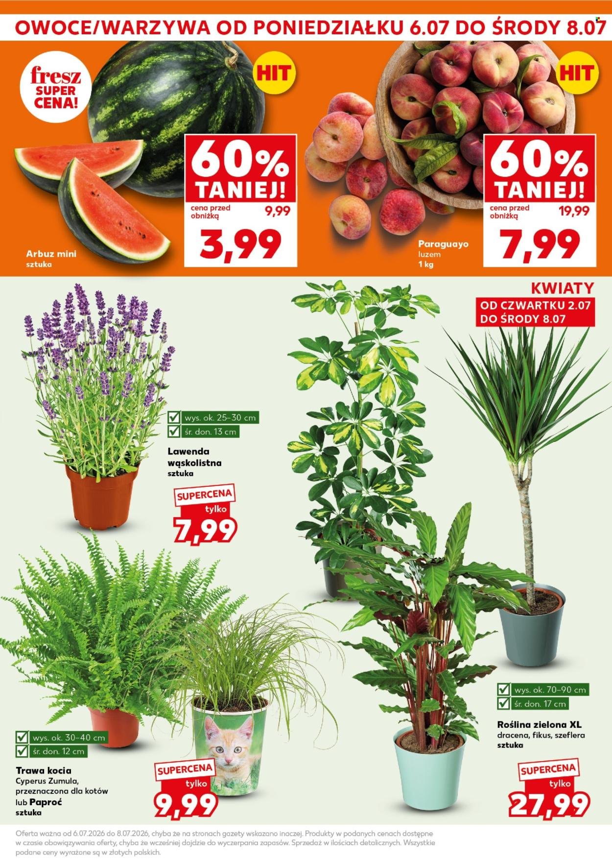 Gazetka KAUFLAND - Mocny Start