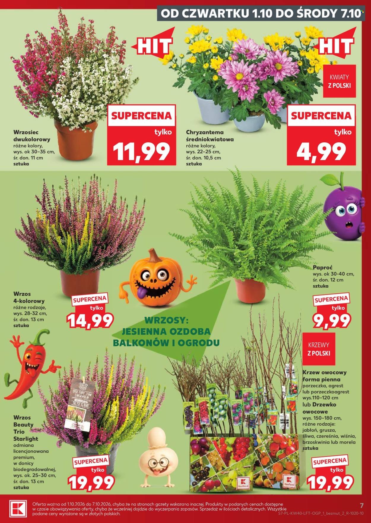 Gazetka KAUFLAND - Gazetka tygodnia