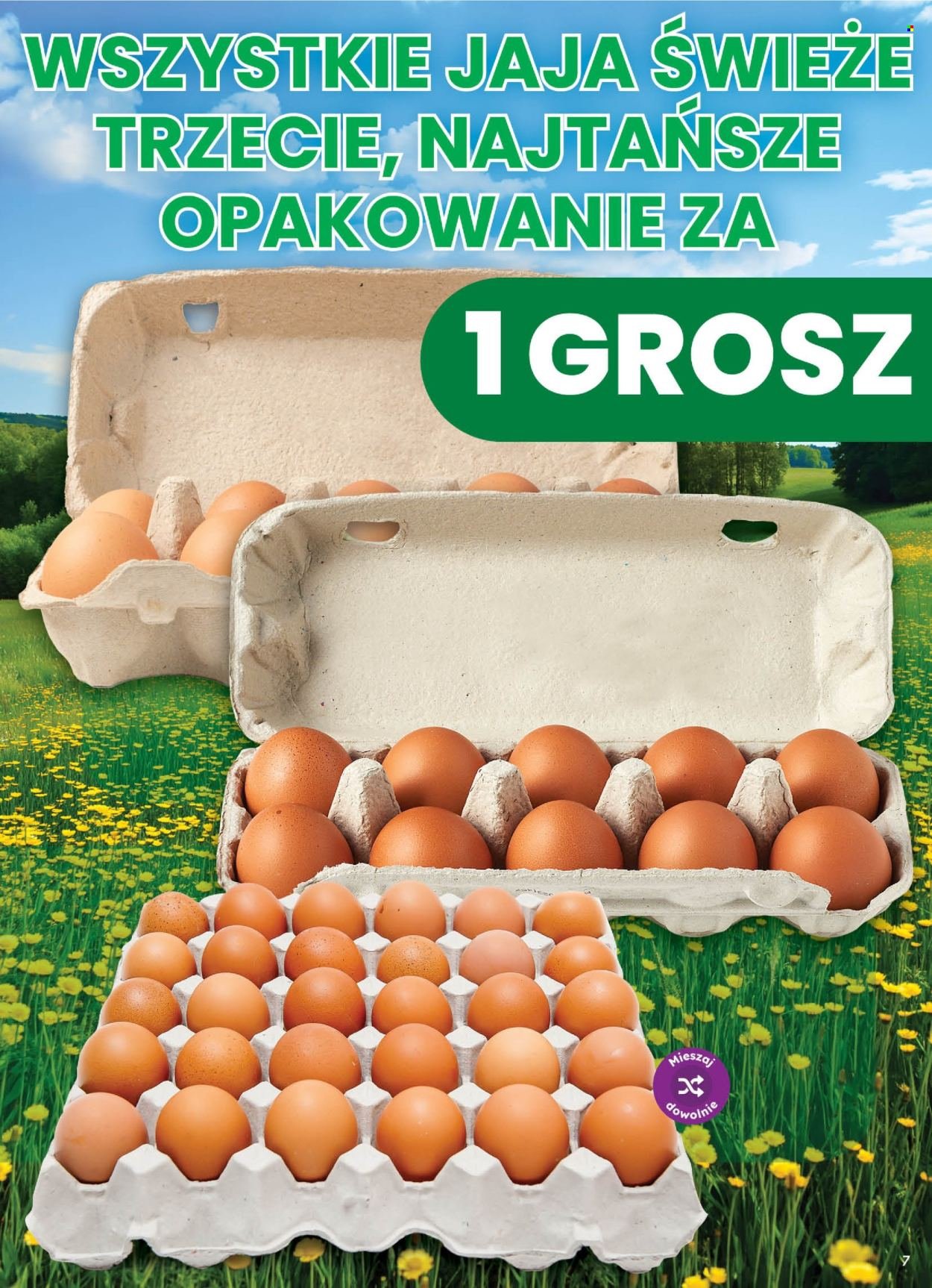 Gazetka DINO - Od piątku 21.08.2026
