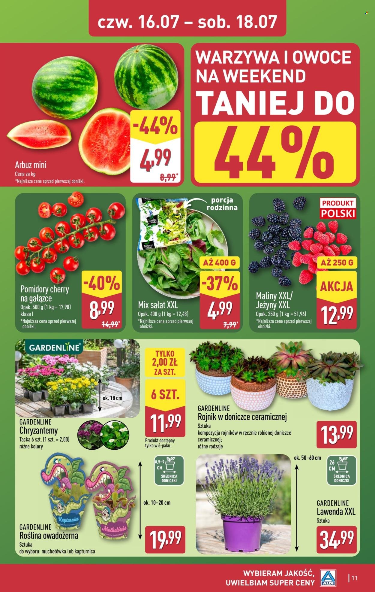 Gazetka ALDI - Oferta weekendowa