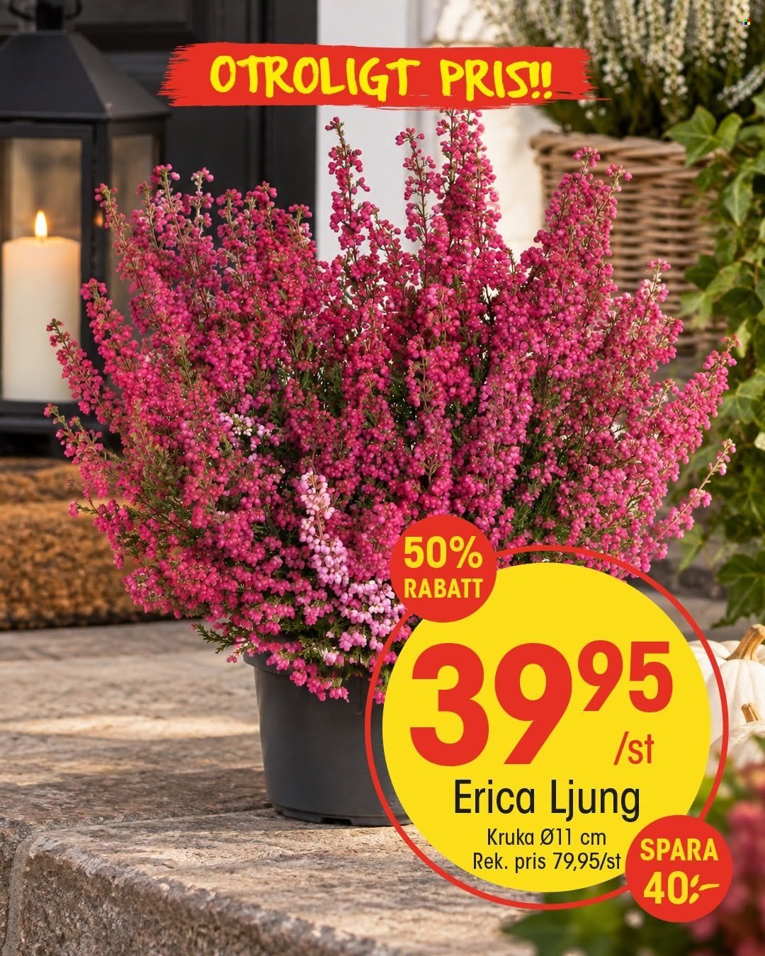 EKO reklamblad - September 2026