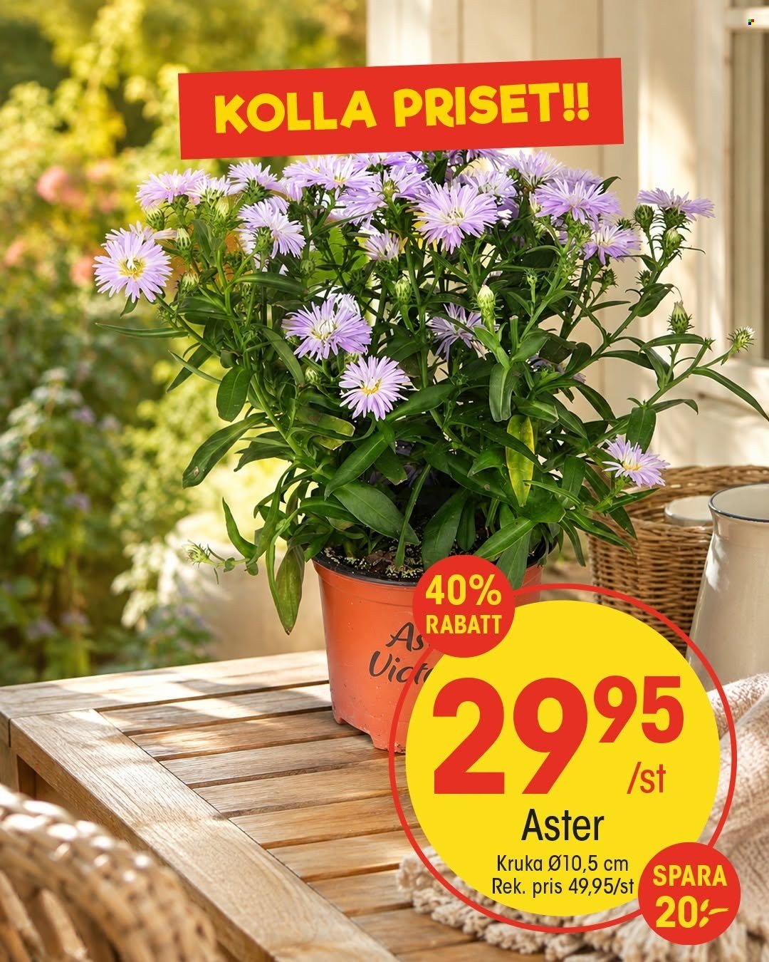 EKO reklamblad - September 2026