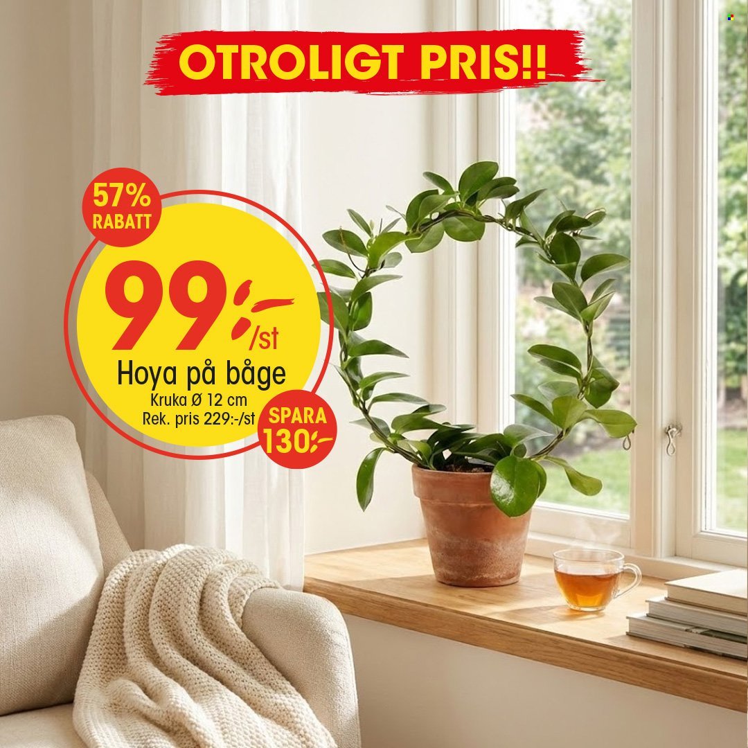 EKO reklamblad - Januari 2026