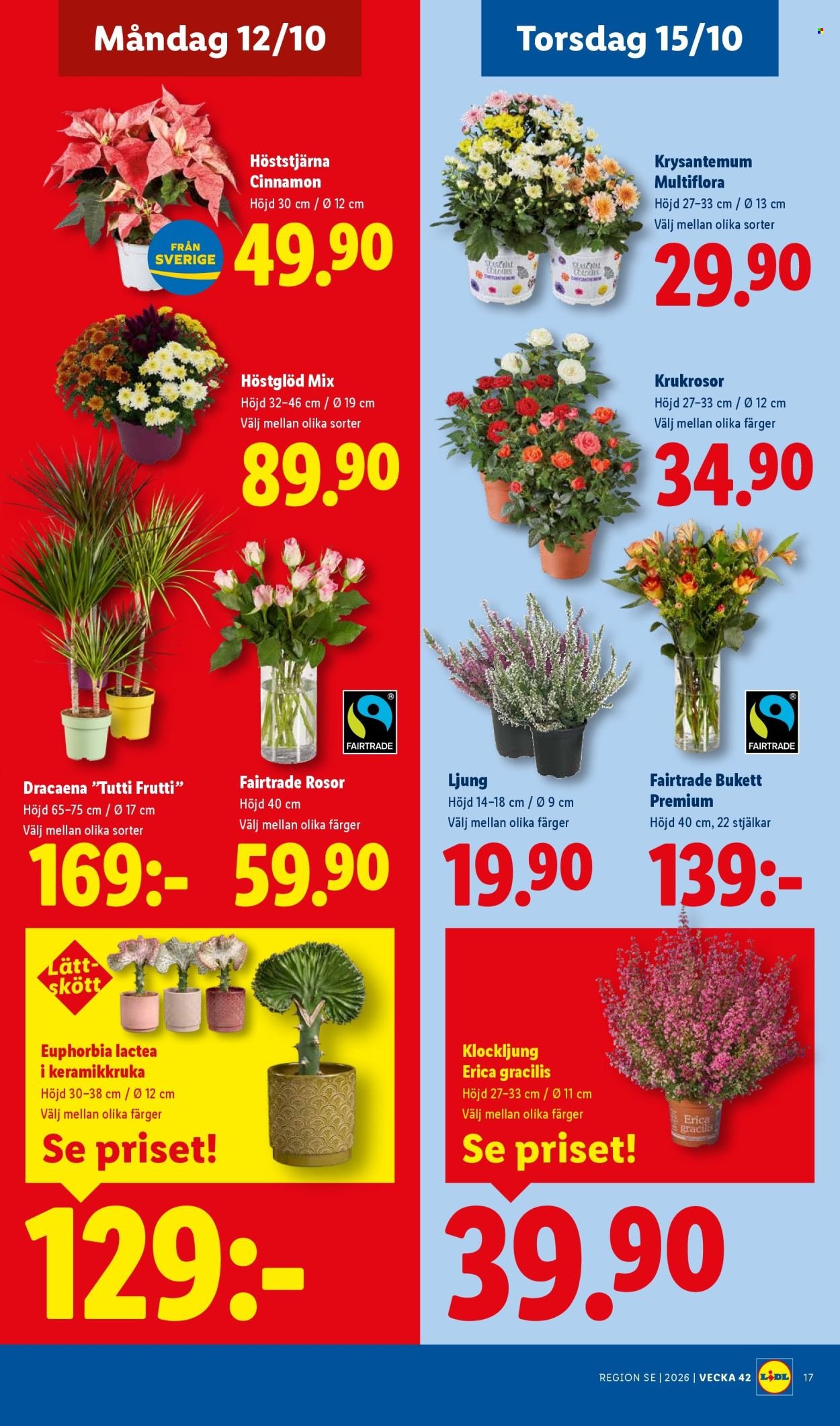 LIDL reklamblad - ERBJUDANDEN VECKA 42
