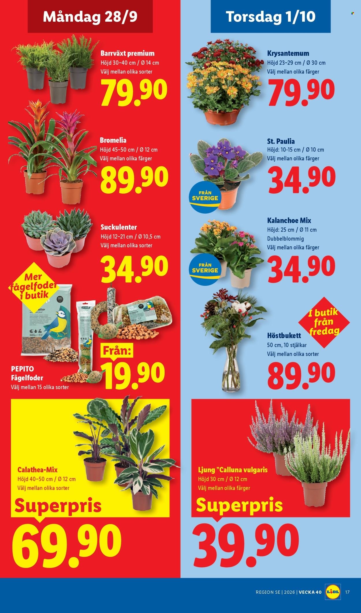 LIDL reklamblad - ERBJUDANDEN VECKA 40