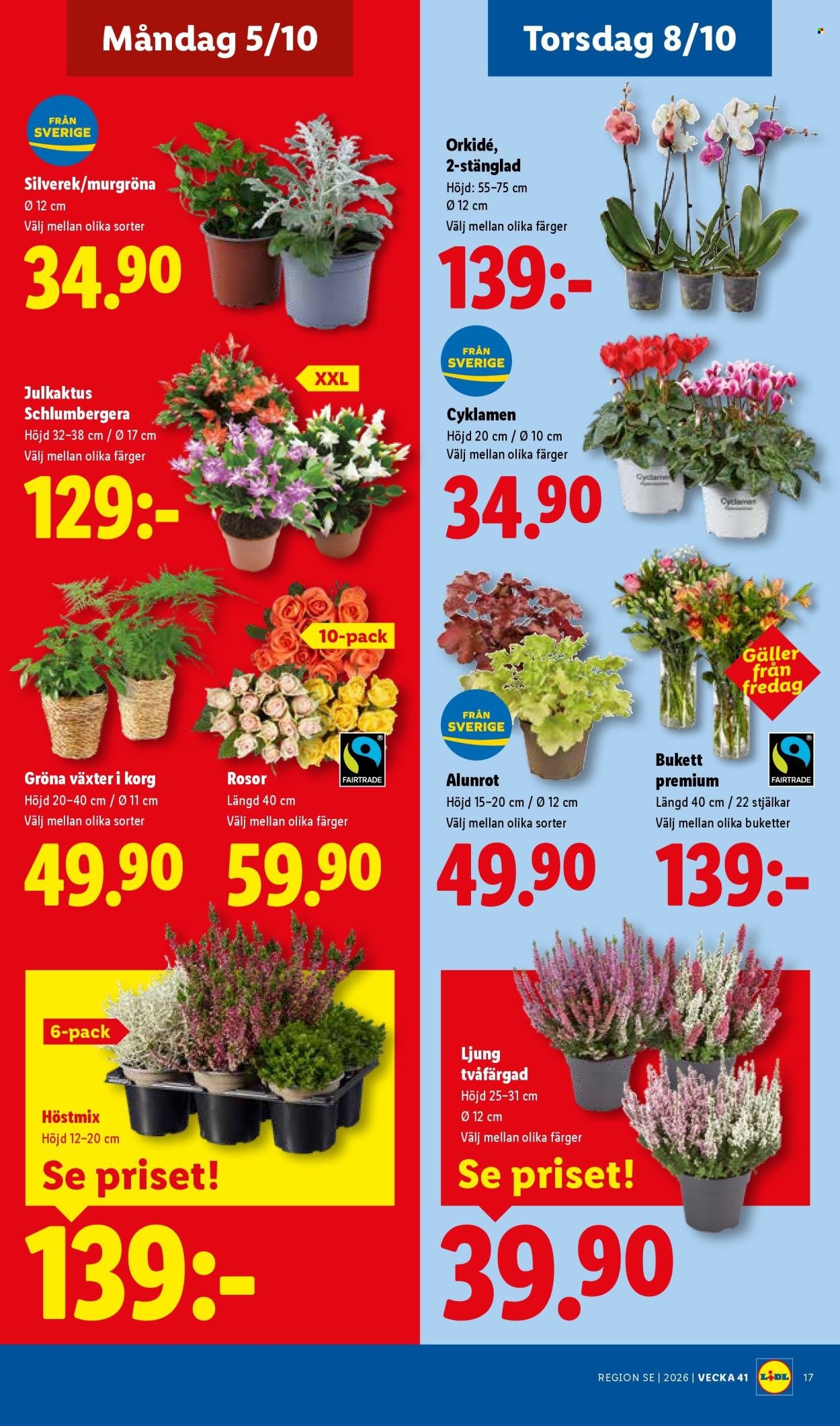 LIDL reklamblad - ERBJUDANDEN VECKA 41