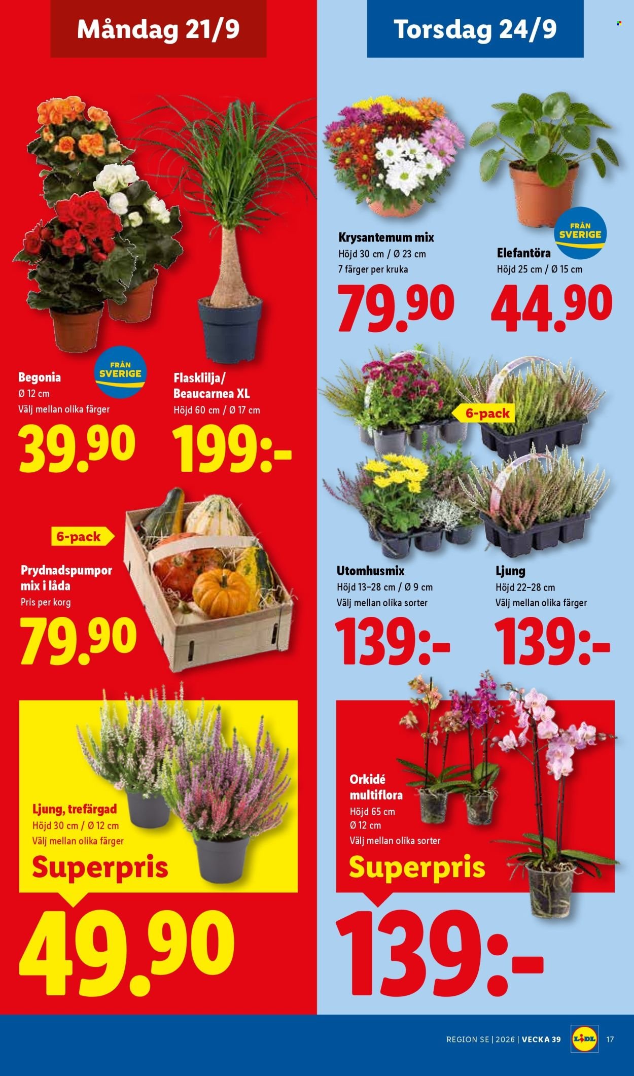 LIDL reklamblad - ERBJUDANDEN VECKA 39