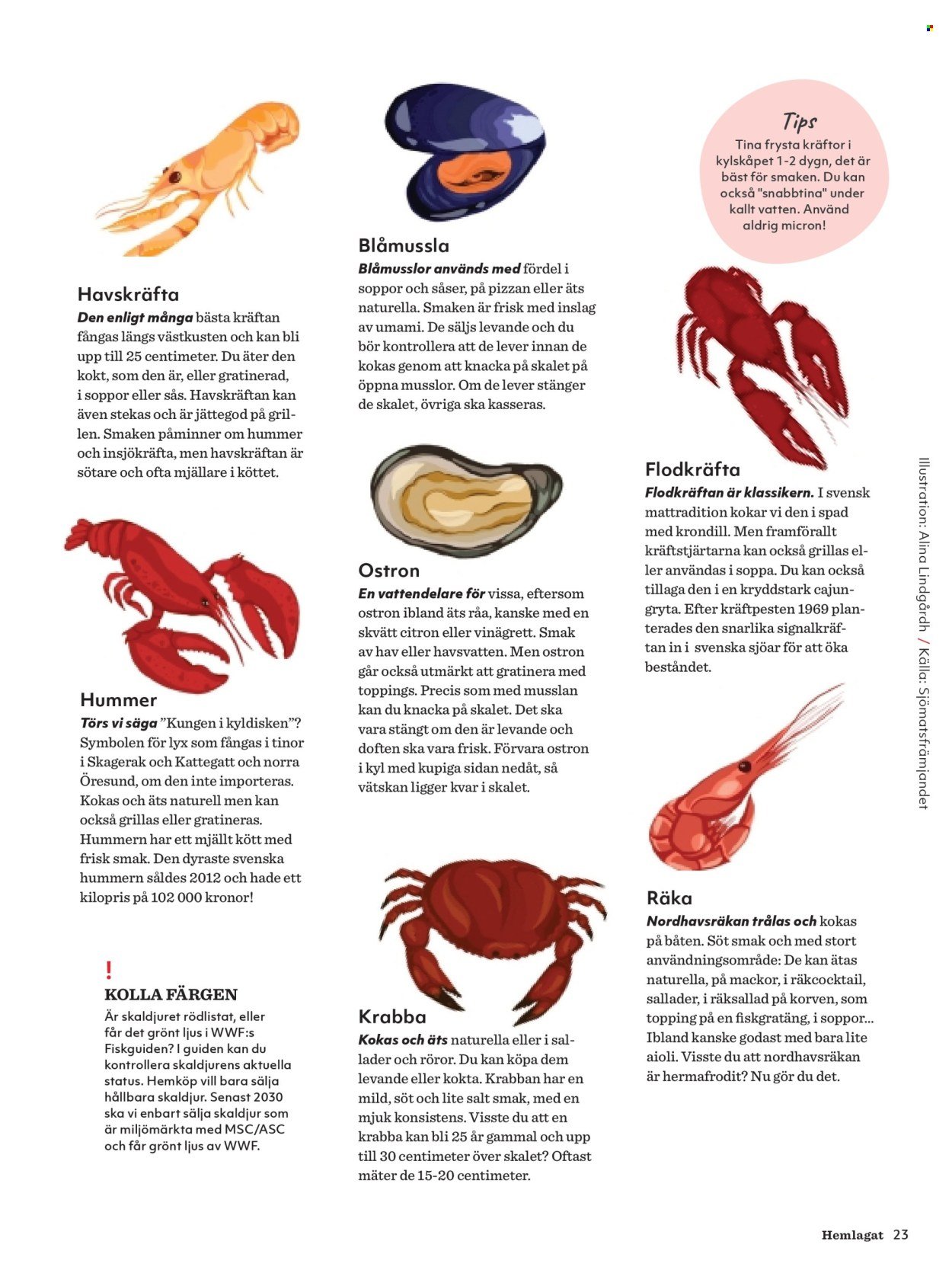 HEMKÖP reklamblad - Februari 2026