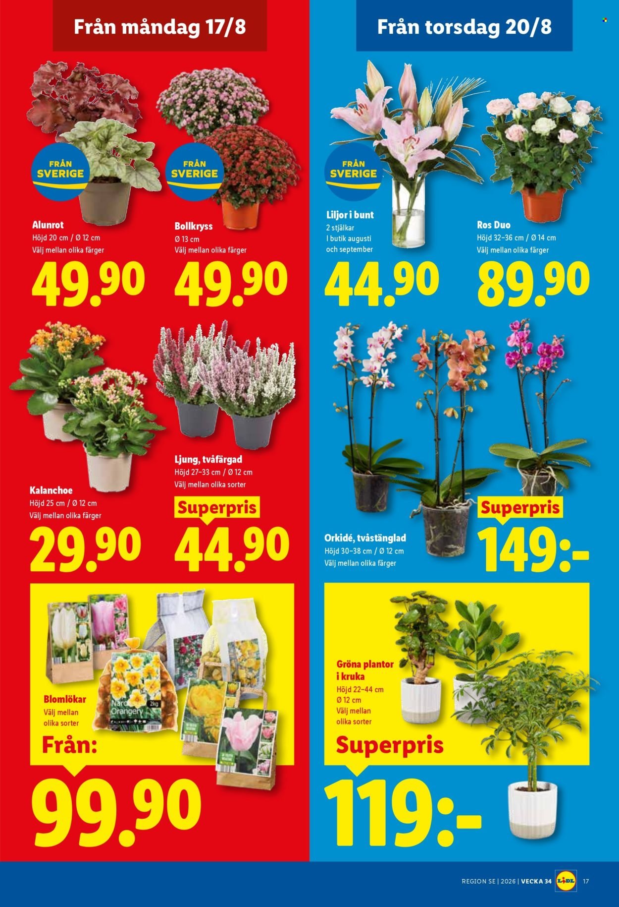 LIDL reklamblad - ERBJUDANDEN VECKA 34