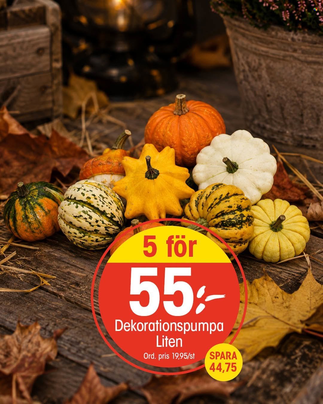 EKO reklamblad - September 2026