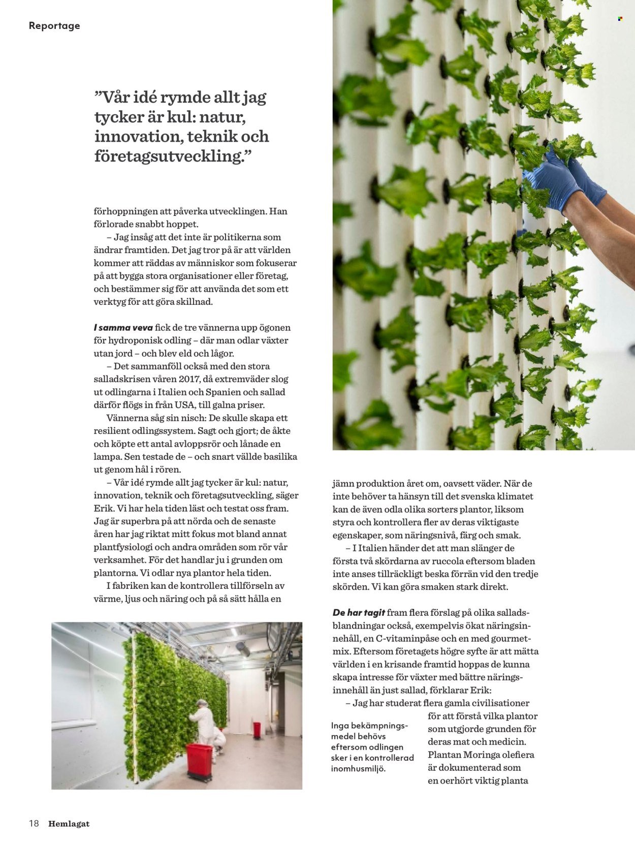 HEMKÖP reklamblad - Oktober 2025