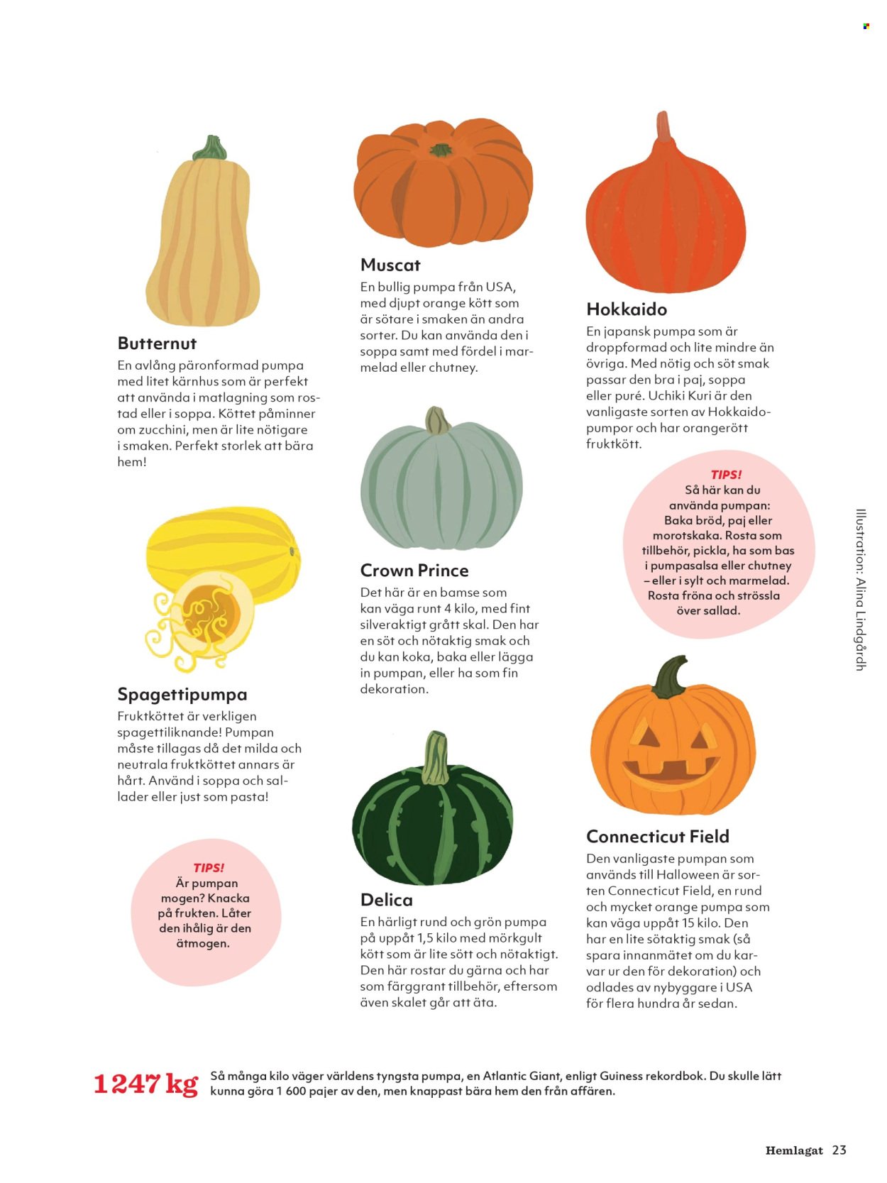 HEMKÖP reklamblad - Oktober 2025