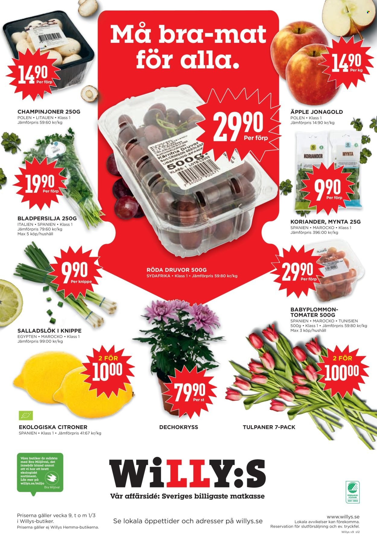 WILLYS reklamblad - T.o.m. måndag 23/02 2026