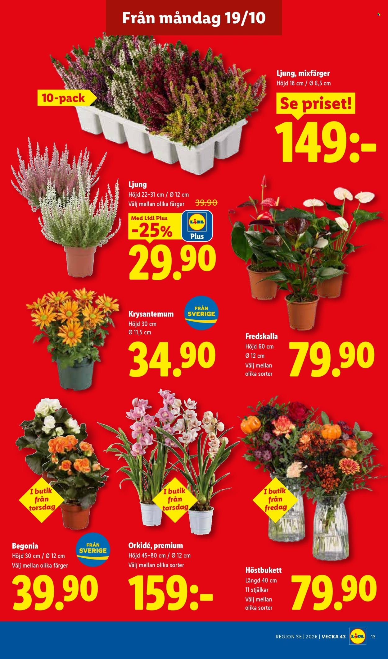 LIDL reklamblad - T.o.m. måndag 19/10 2026