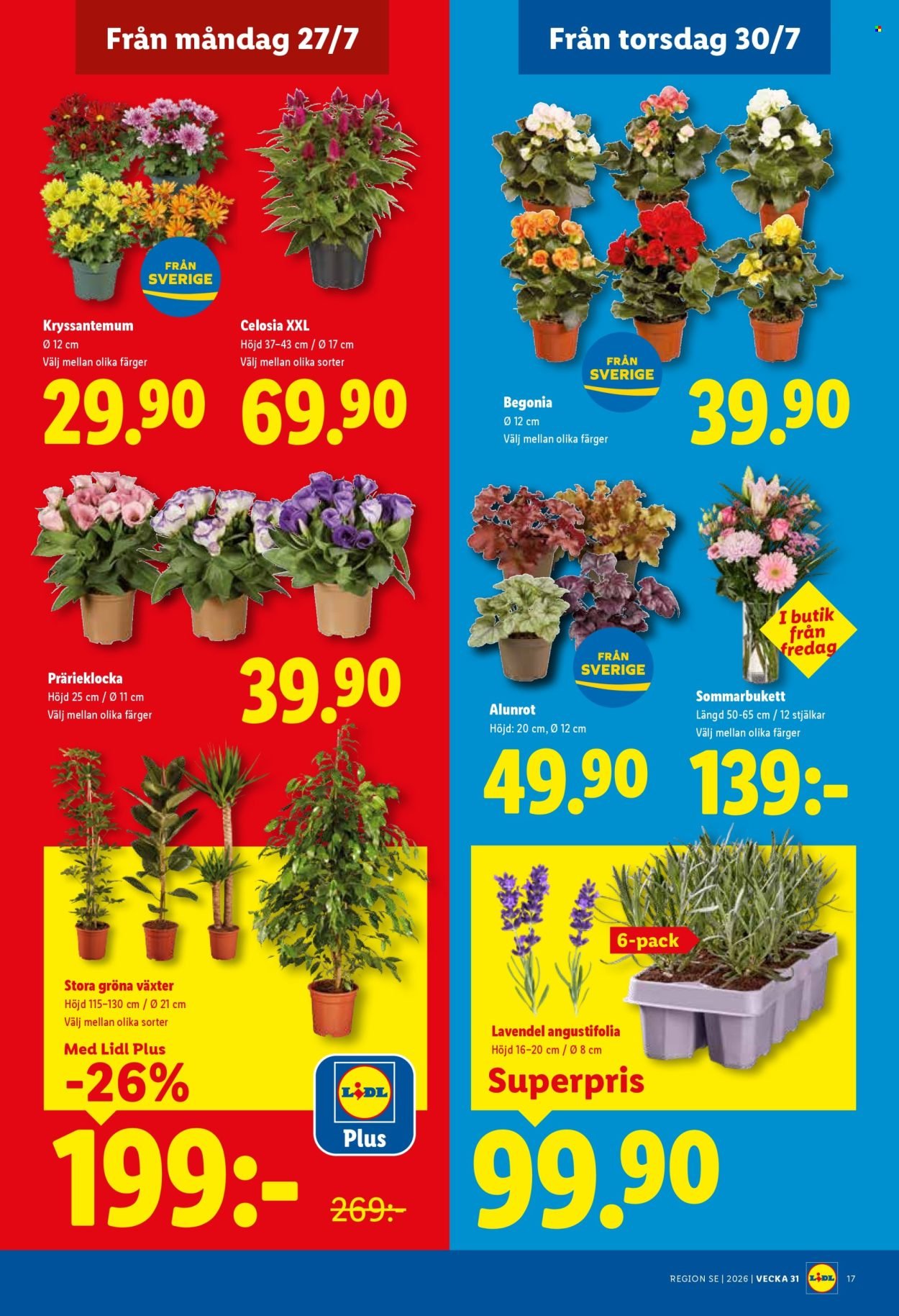 LIDL reklamblad - ERBJUDANDEN VECKA 31