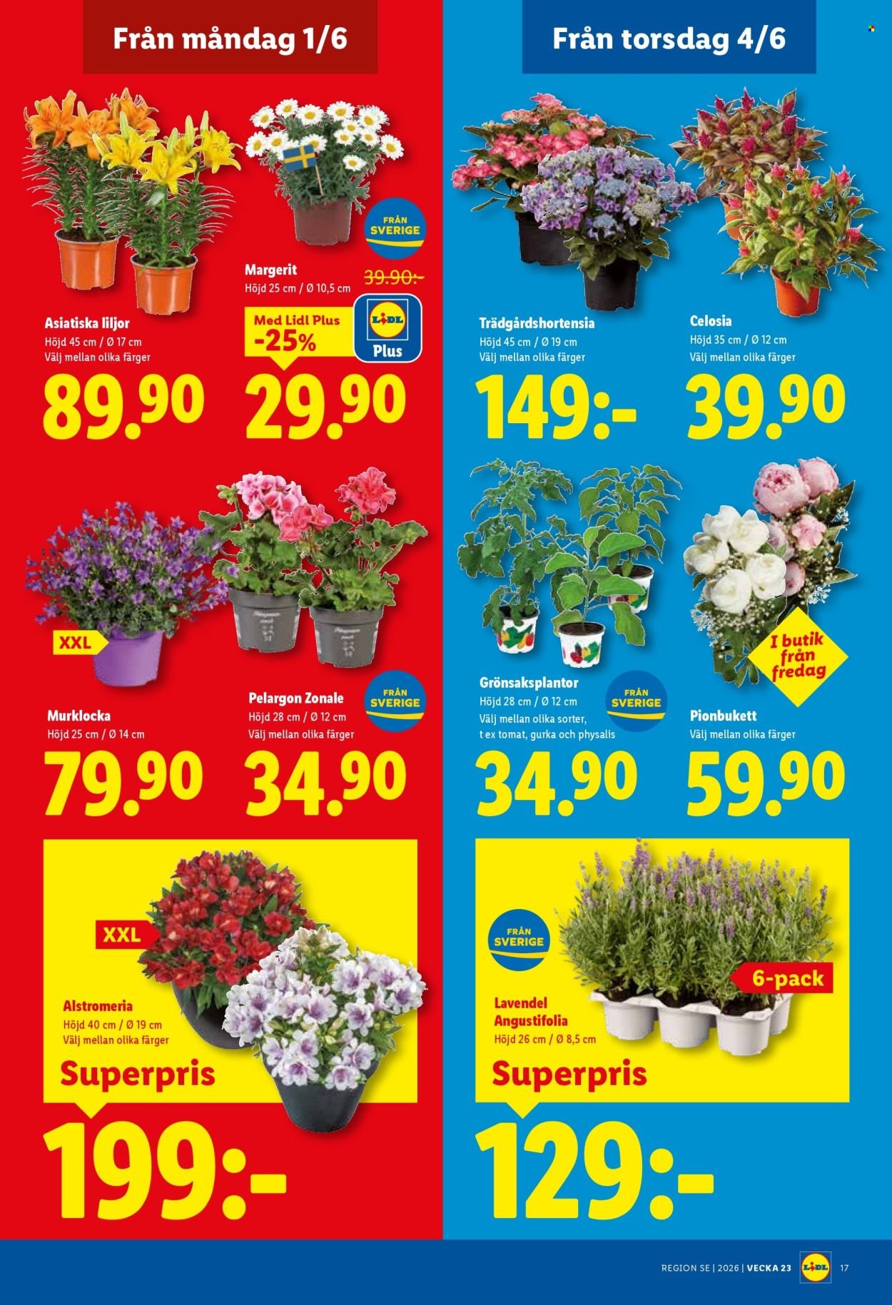 LIDL reklamblad - T.o.m. måndag 01/06 2026