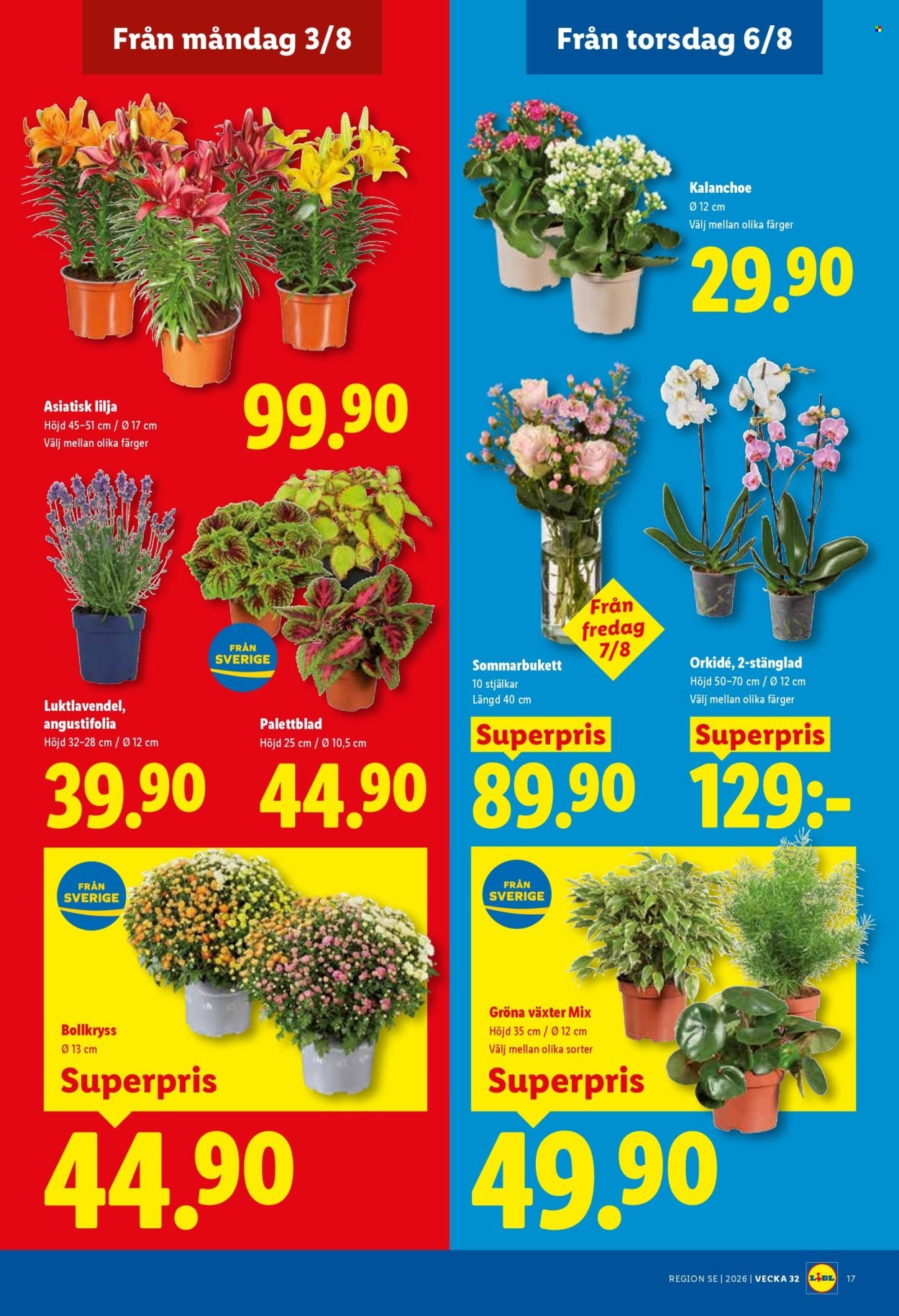 LIDL reklamblad - ERBJUDANDEN VECKA 32