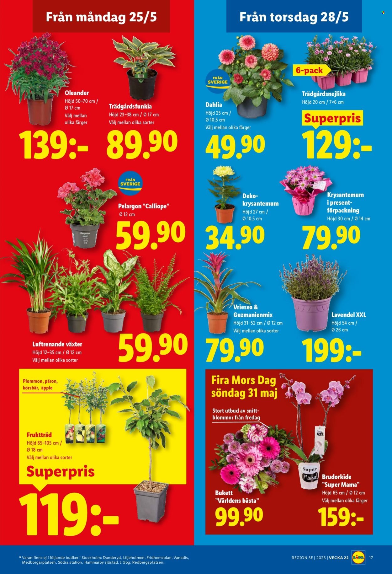 LIDL reklamblad - ERBJUDANDEN VECKA 22