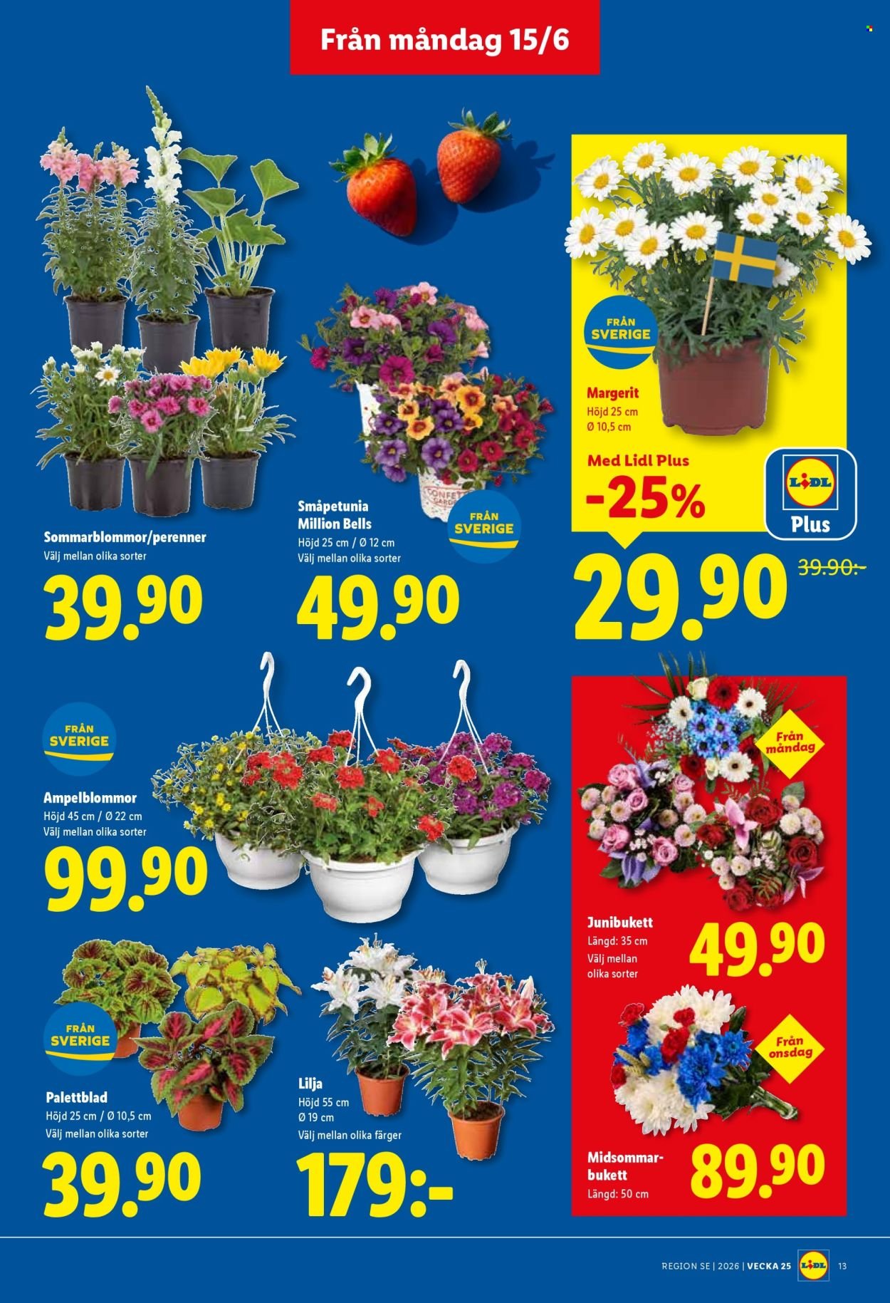 LIDL reklamblad - ERBJUDANDEN VECKA 25