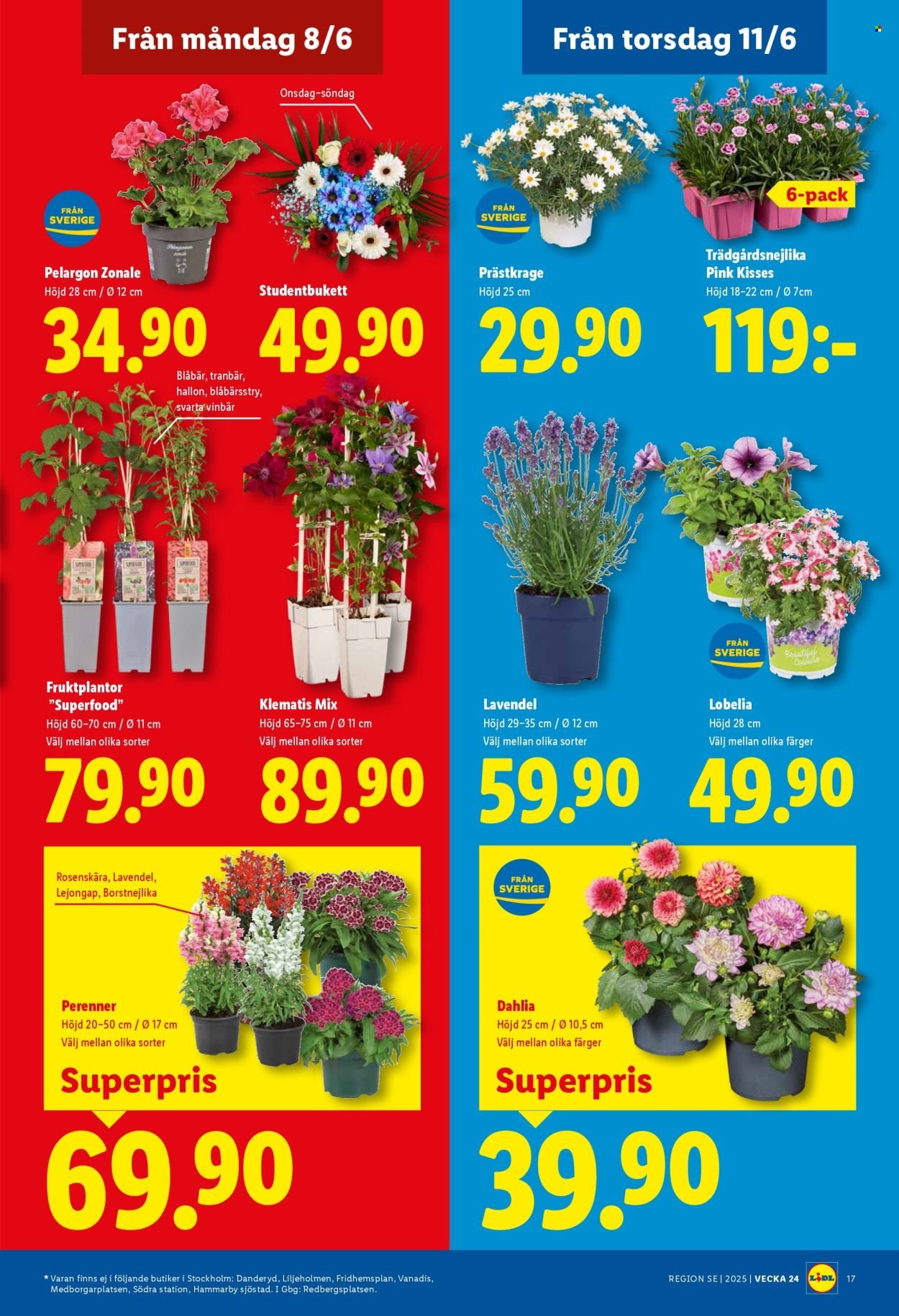 LIDL reklamblad - ERBJUDANDEN VECKA 24
