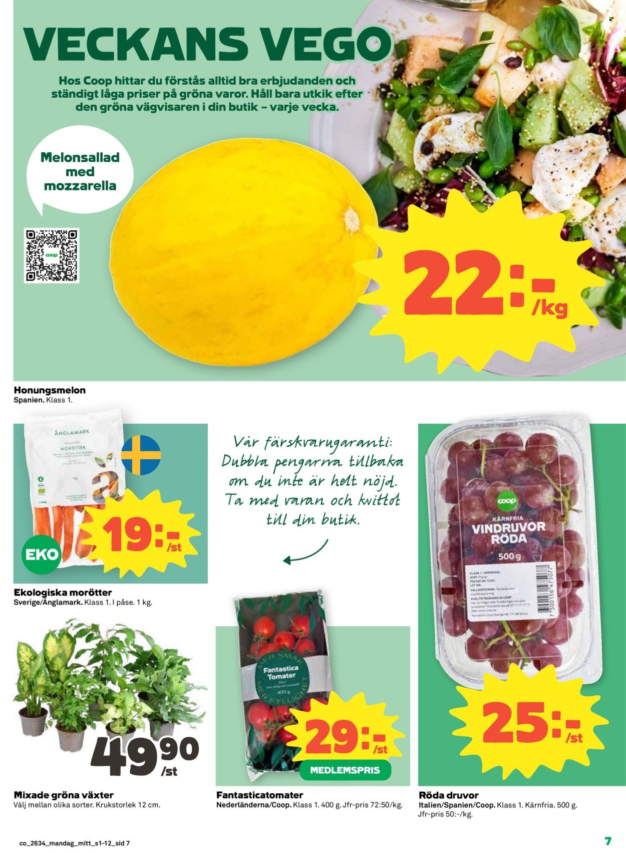COOP reklamblad - T.o.m. måndag 17/08 2026