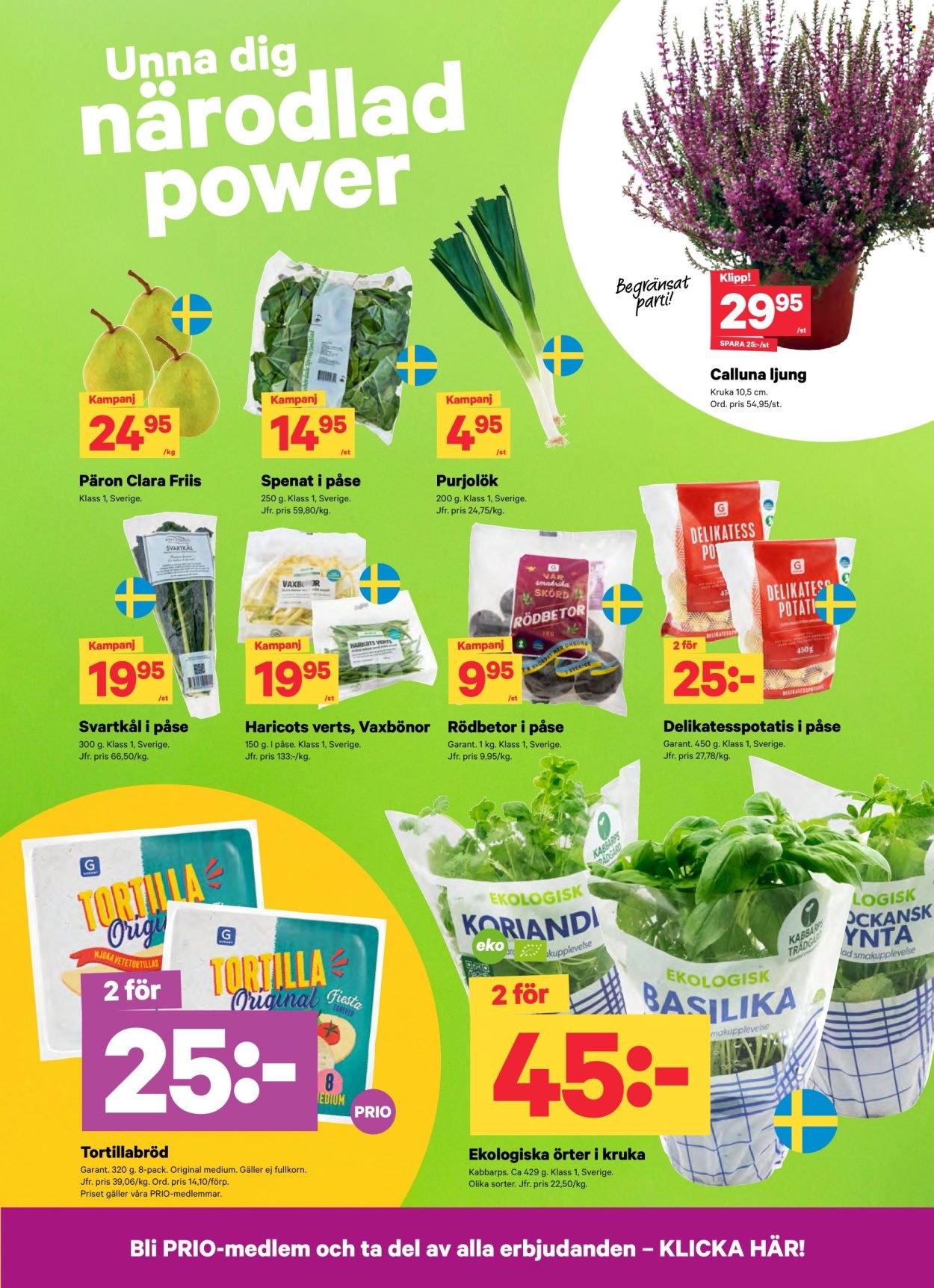 CITY GROSS reklamblad - T.o.m. måndag 14/09 2026