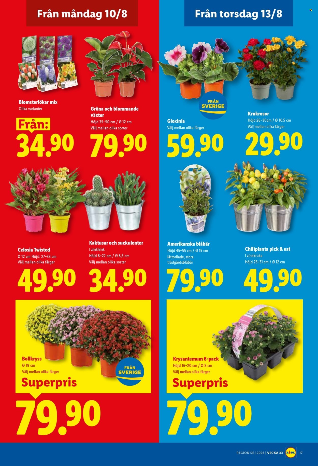 LIDL reklamblad - ERBJUDANDEN VECKA 33