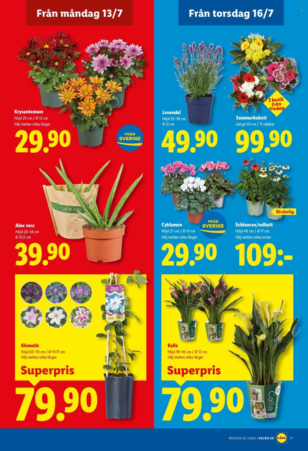 LIDL reklamblad - ERBJUDANDEN VECKA 29