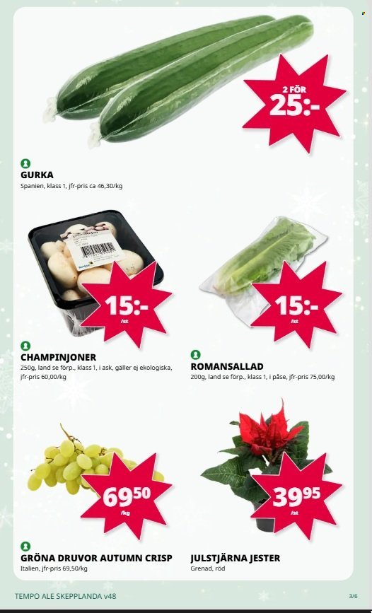 TEMPO reklamblad - T.o.m. måndag 24/11 2025