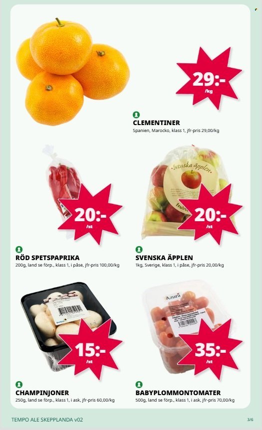 TEMPO reklamblad - T.o.m. måndag 05/01 2026