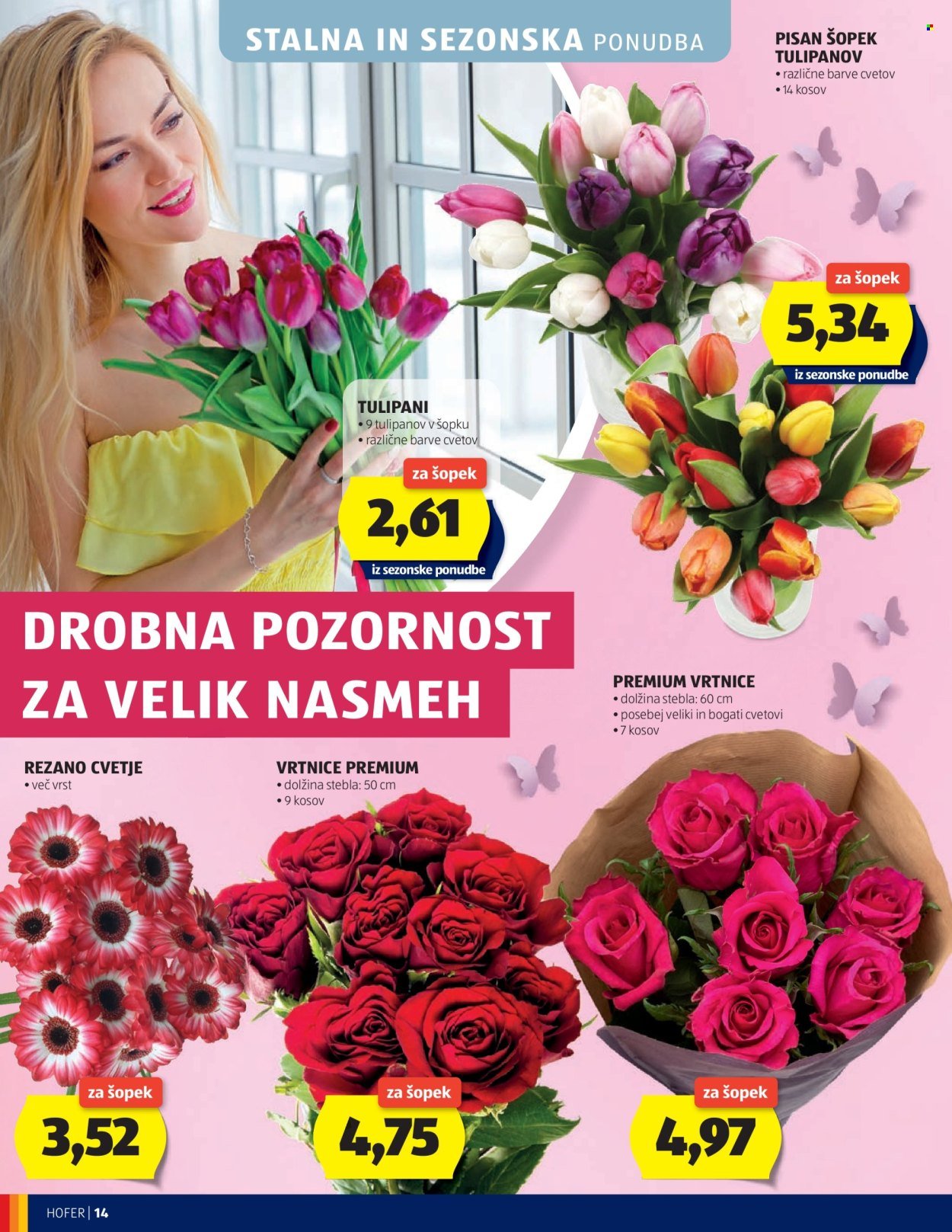 HOFER katalog - Od srede, 4. 3. 2026 (2026-03-04 - 2026-03-12)