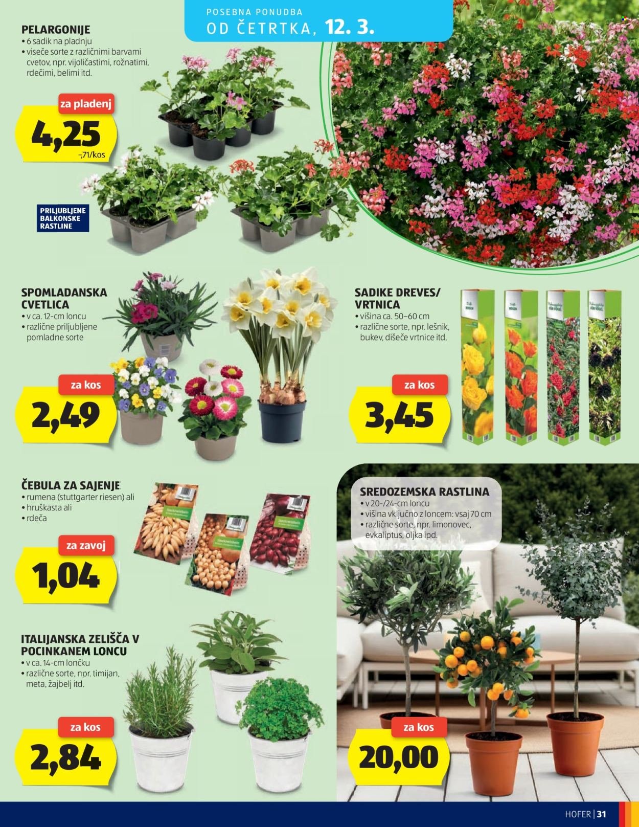 HOFER katalog - Od srede, 4. 3. 2026 (2026-03-04 - 2026-03-12)