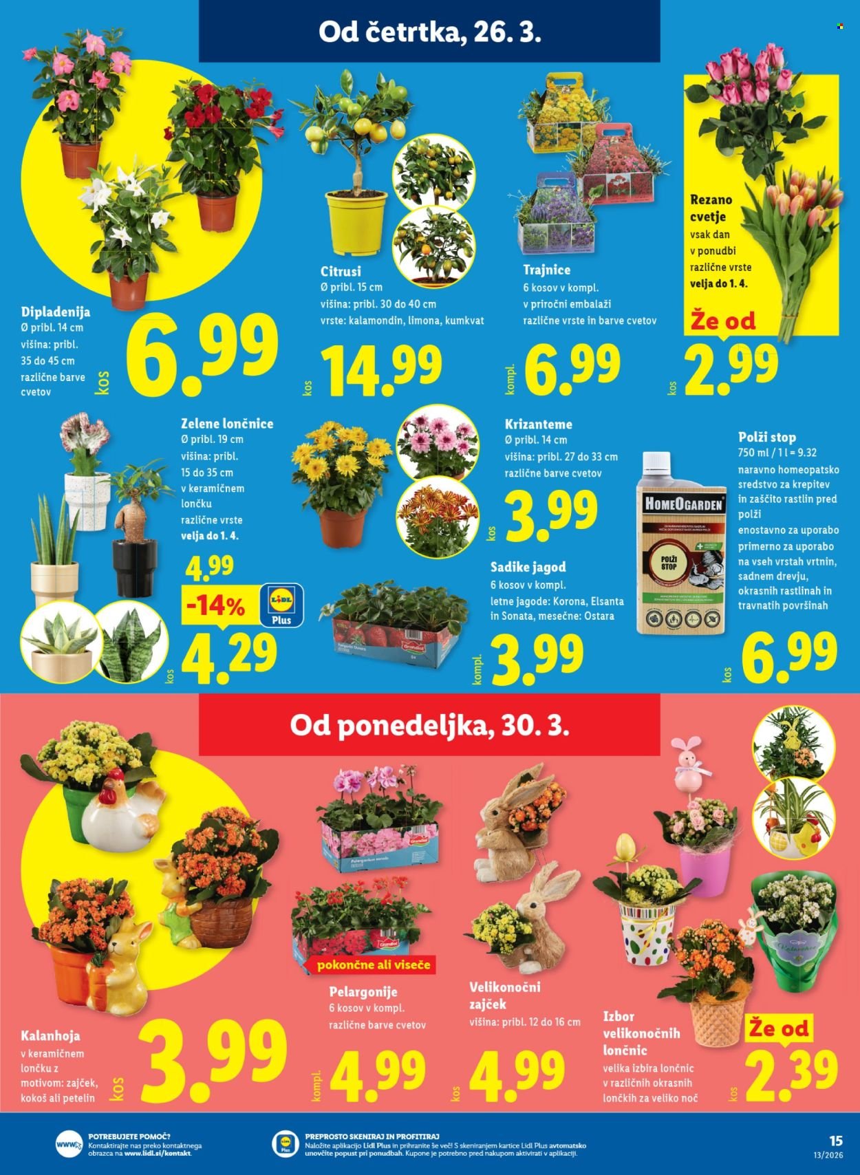 LIDL katalog - Od četrtka, 26. 3. 2026 (2026-03-26 - 2026-04-01)