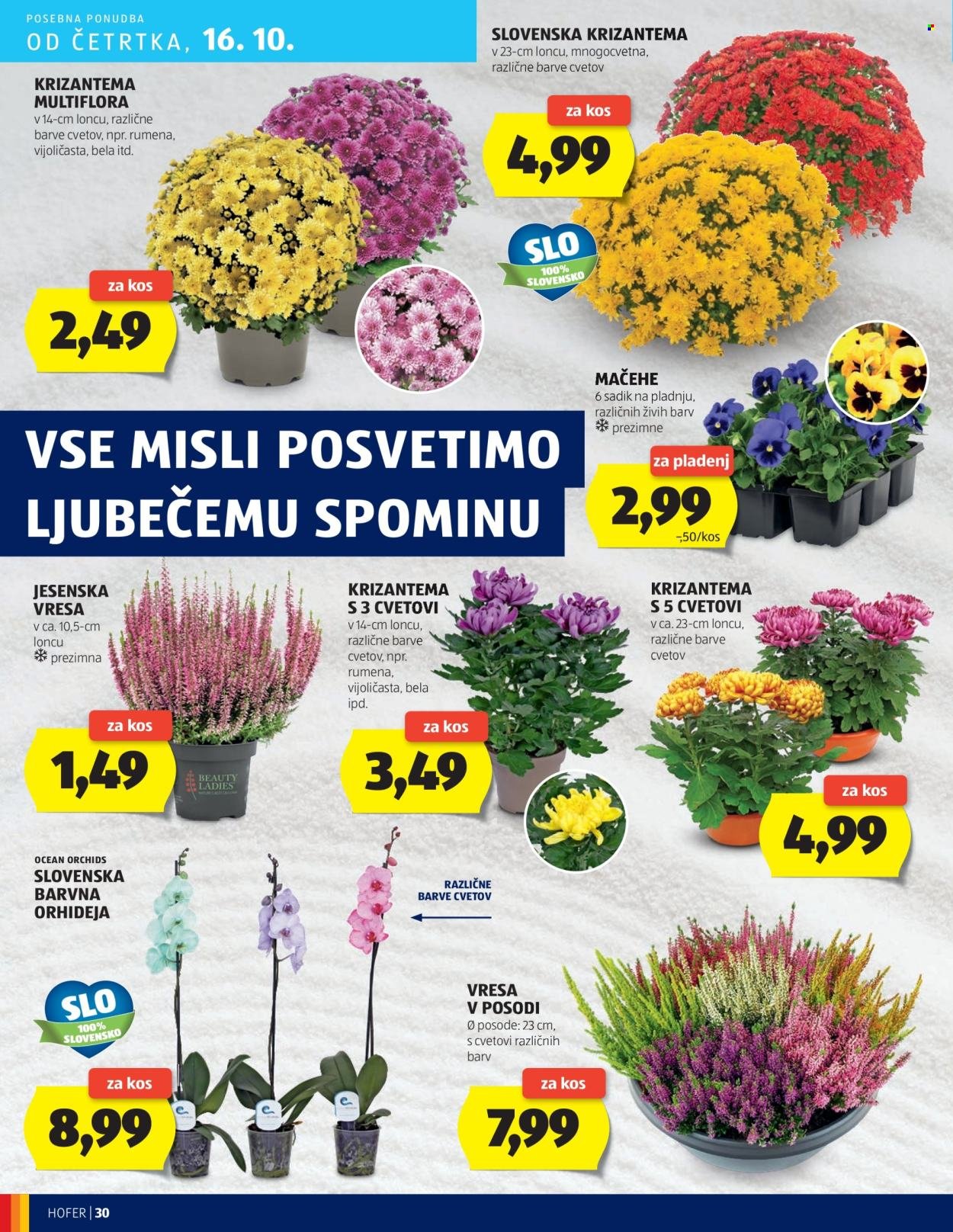 HOFER katalog - Od četrtka, 9. 10. 2025 (2025-10-09 - 2025-10-16)