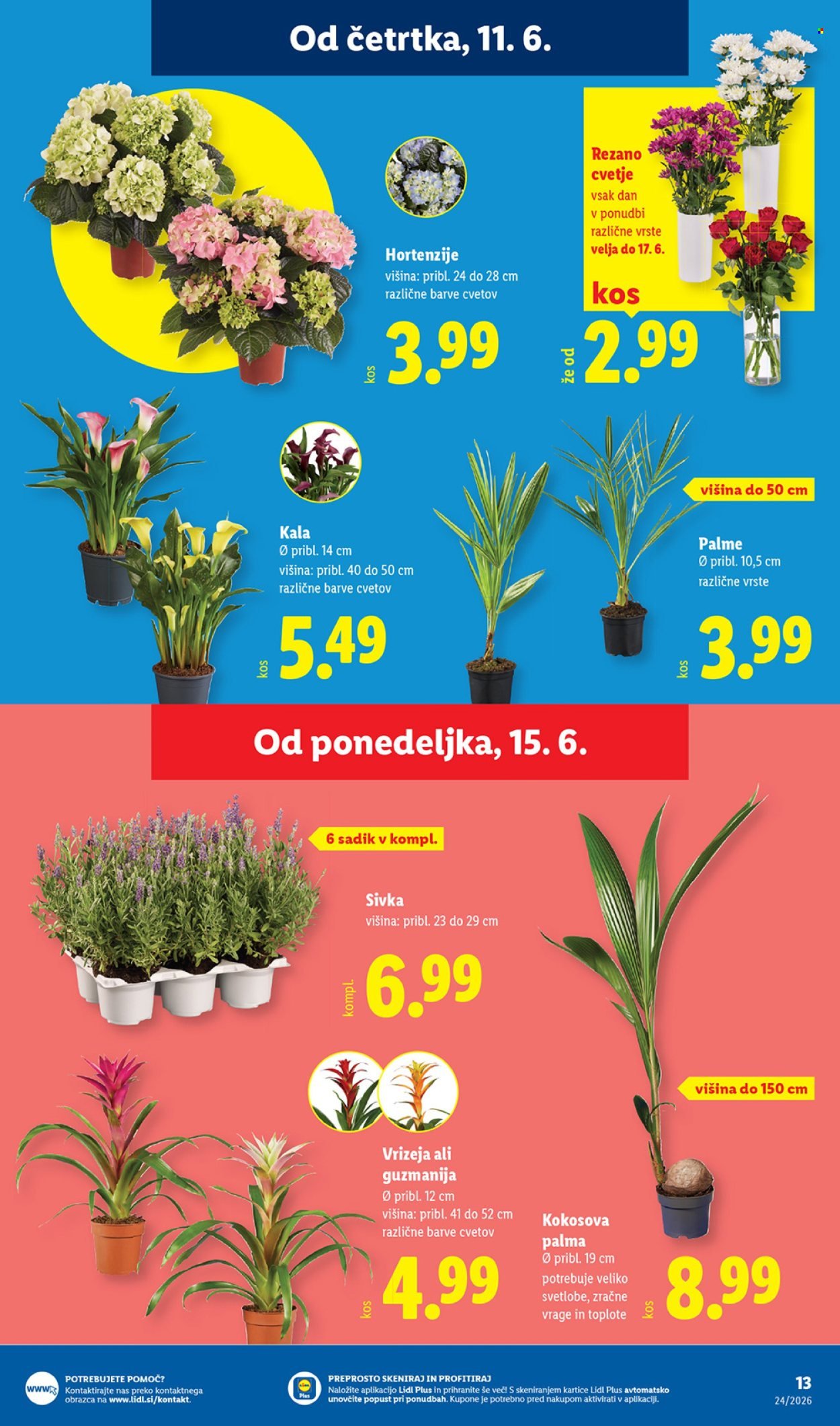 LIDL katalog - Od četrtka, 11. 6. 2026