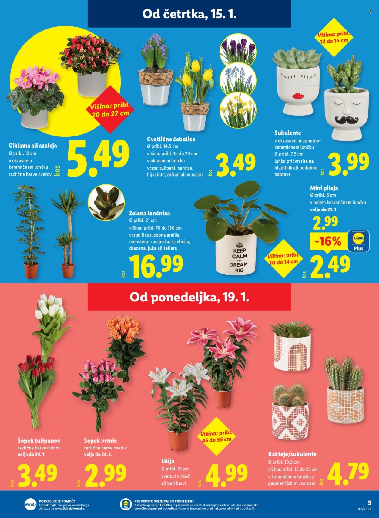 LIDL katalog - Od četrtka, 15. 1. 2026 (2026-01-15 - 2026-01-21)