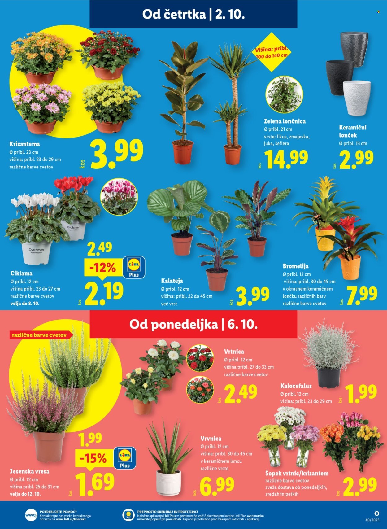 LIDL katalog - Od četrtka, 2. 10. 2025 (2025-10-02 - 2025-10-08)